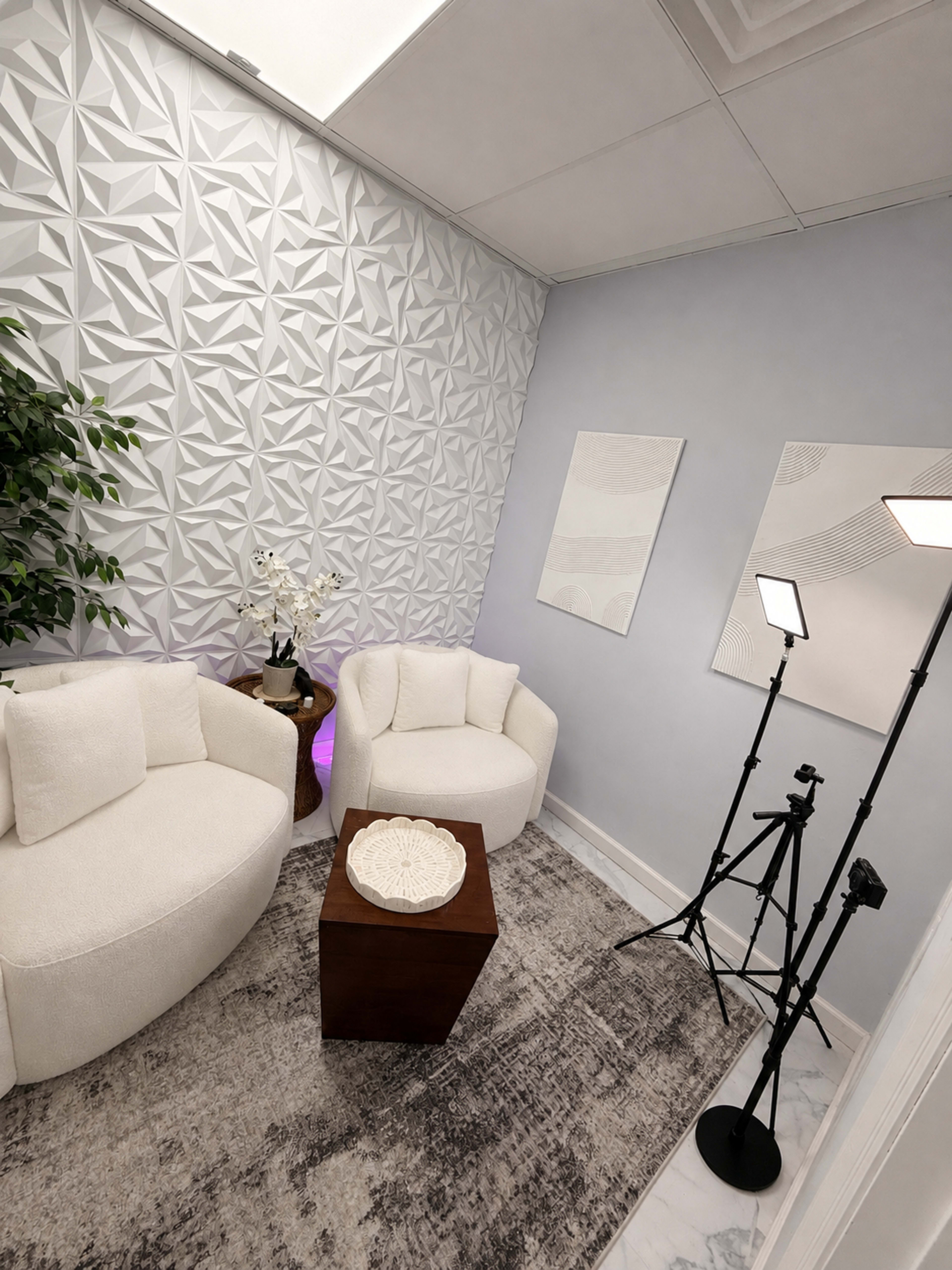 A cozy room features two white armchairs, a small wooden table, and modern artwork on the walls, complemented by plants and lighting equipment.