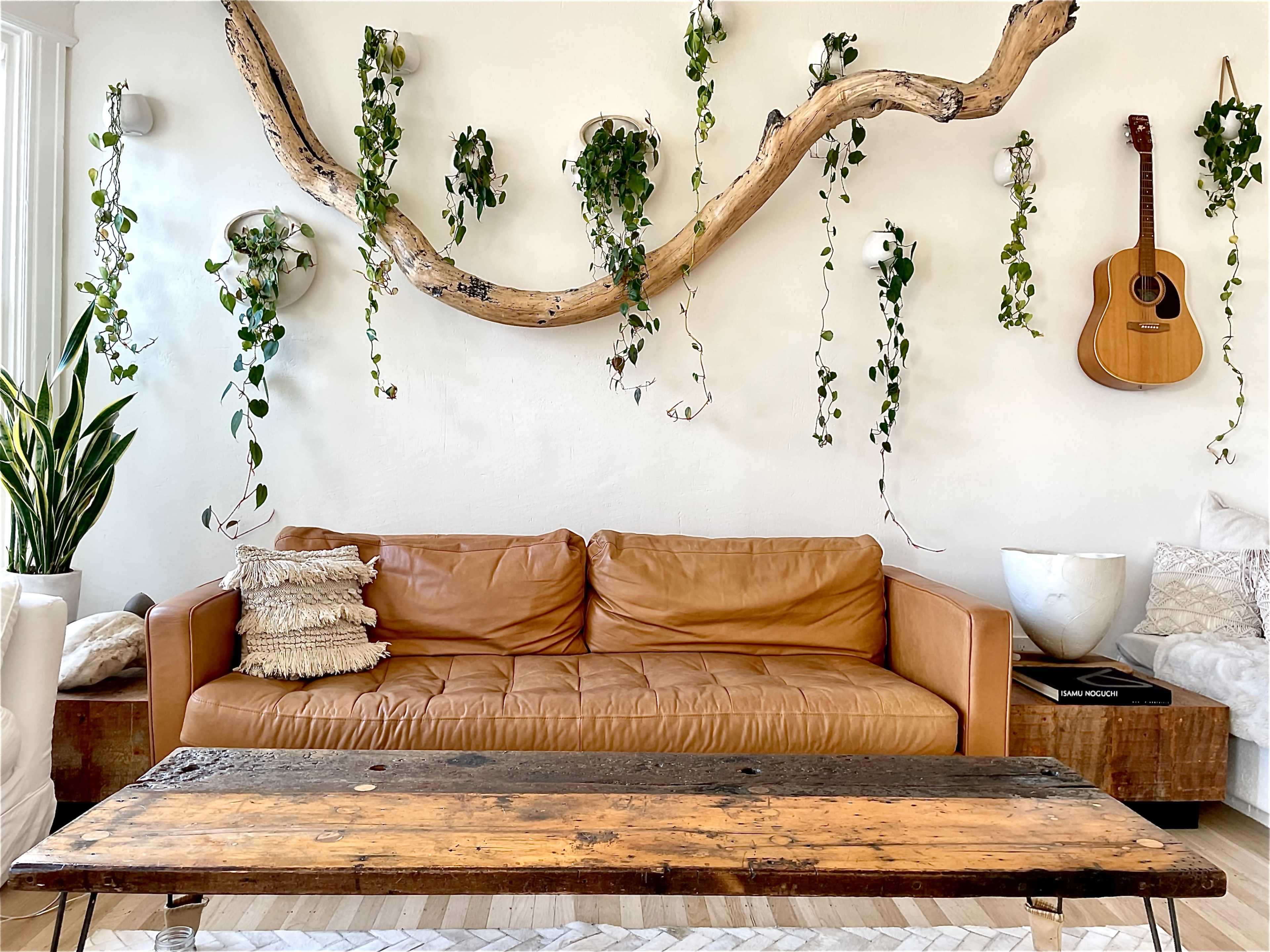 A leather sofa is positioned in front of a wooden coffee table, with a wall adorned by hanging plants and a guitar.