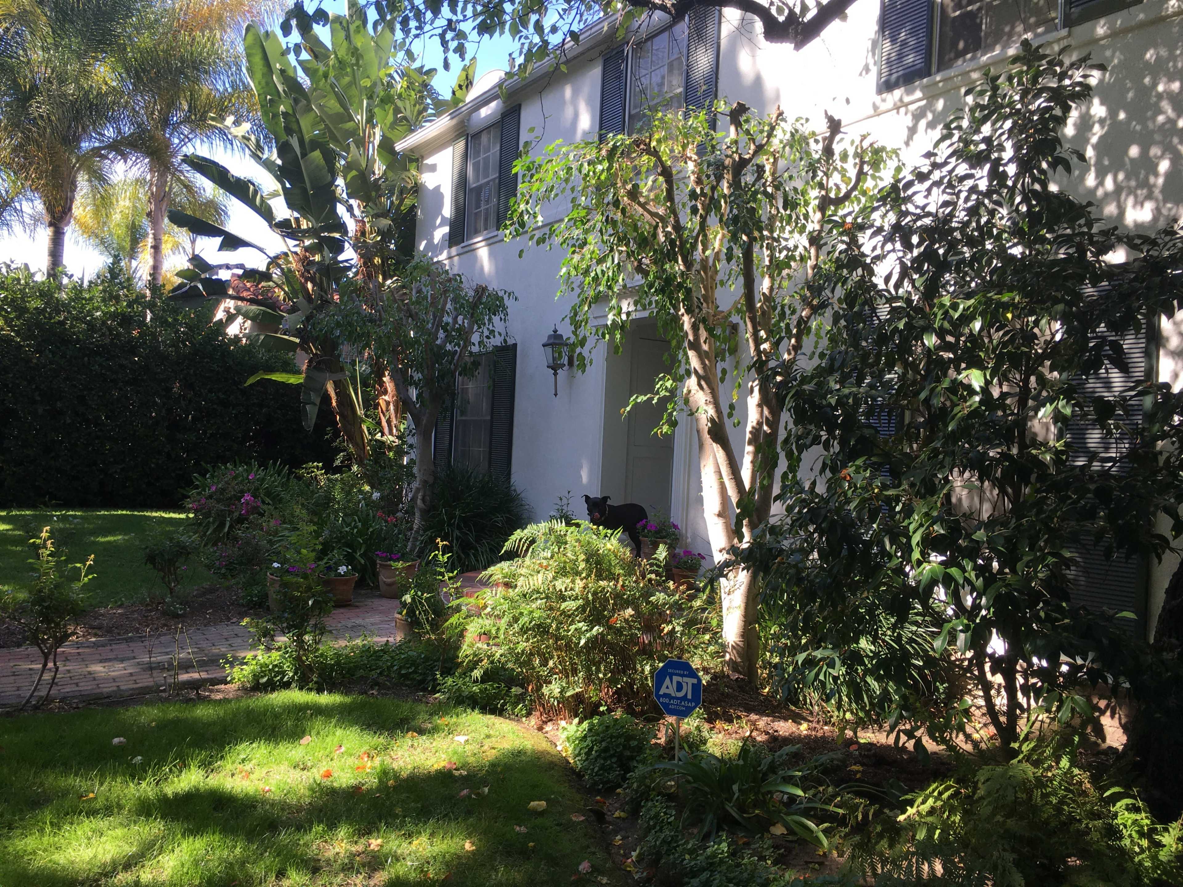 A suburban house with a manicured garden featuring various plants, trees, and a security sign in the foreground.