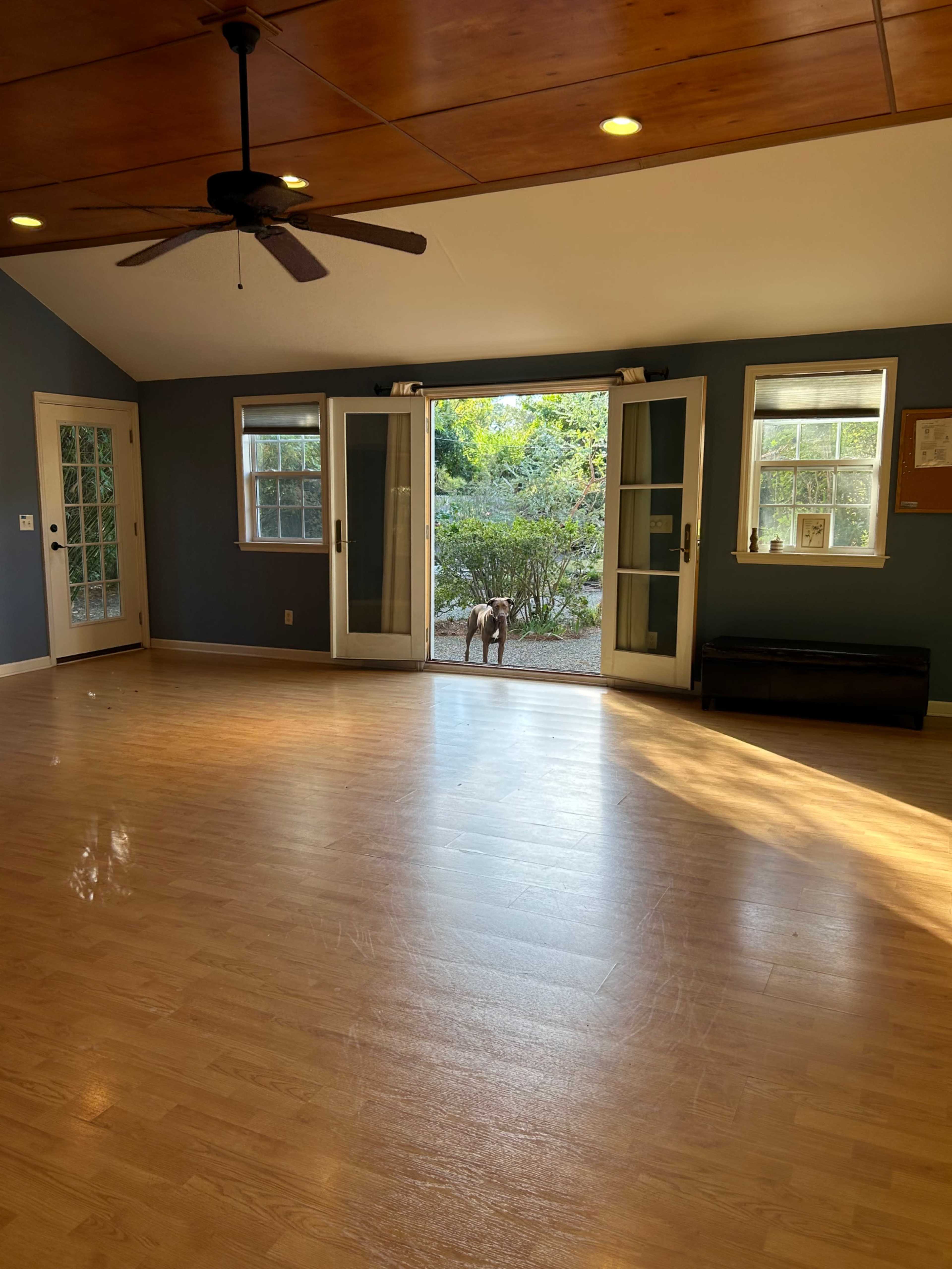 Stand Alone Studio and Backyard Garden Image in Hugh Macrae, Wilmington, NC