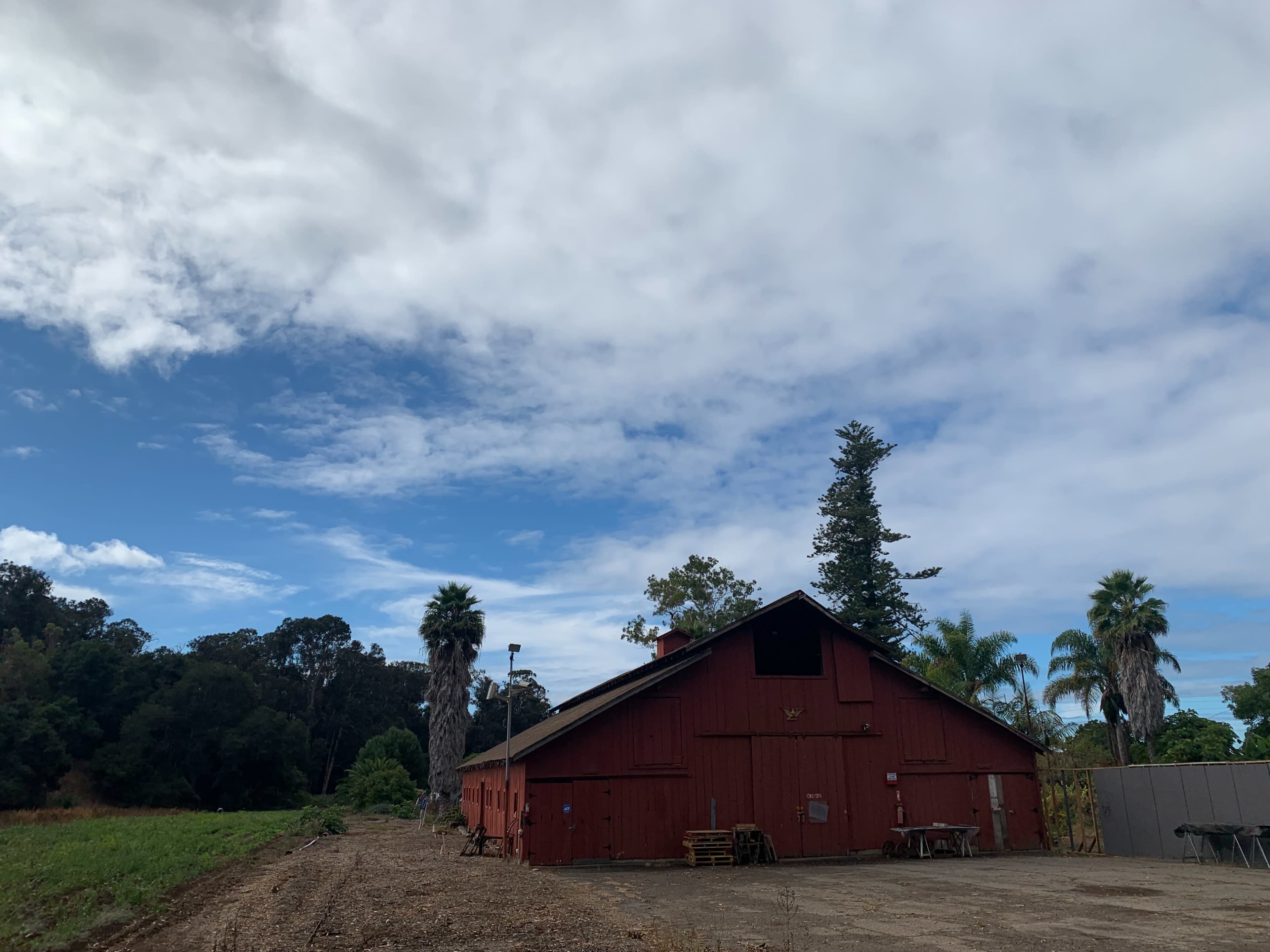 A red barn stands beside a gravel area, surrounded by palm trees and green foliage under a partly cloudy sky.
