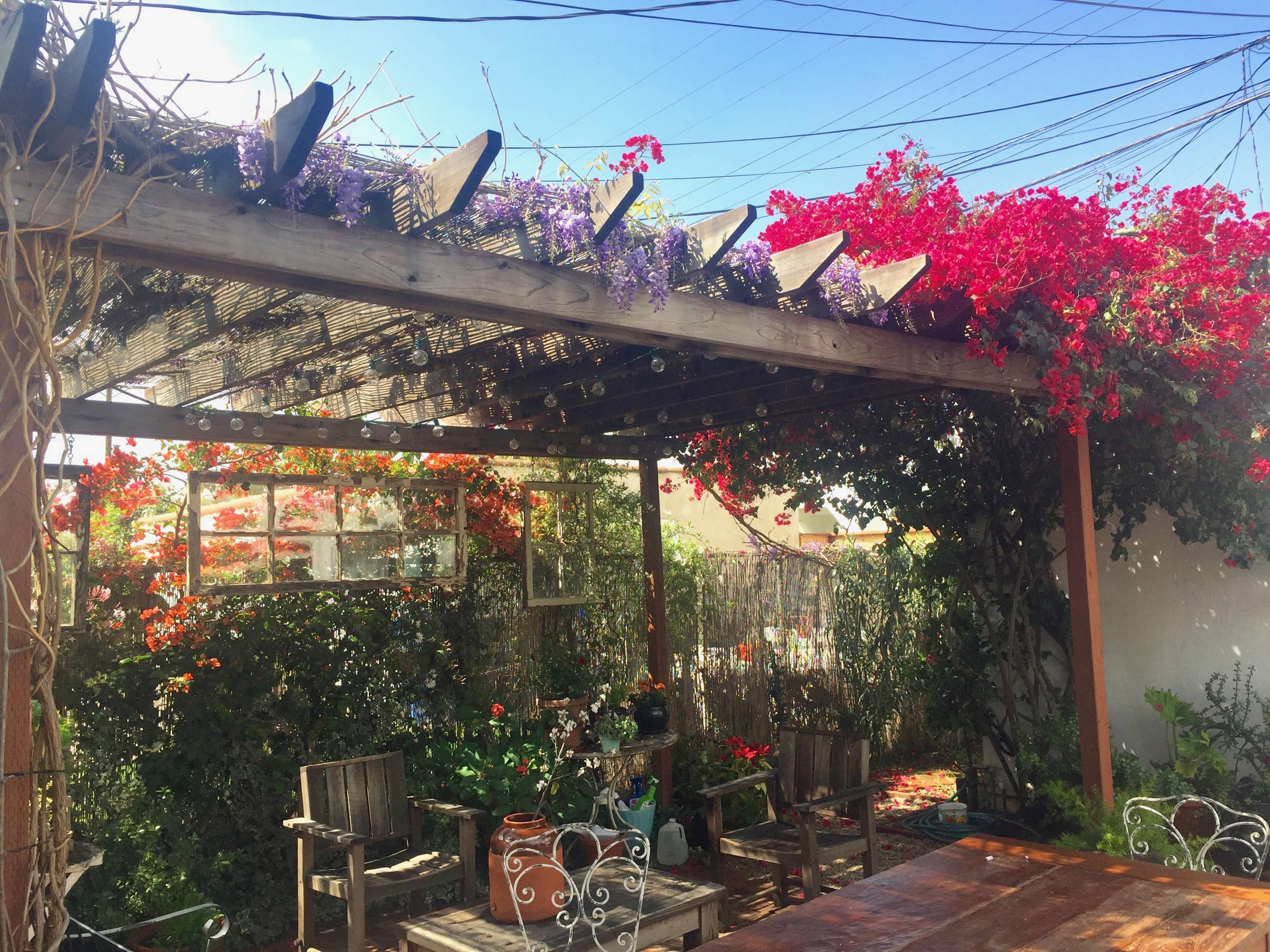 A wooden pergola covered with vibrant flowers and string lights shades a seating area in a garden.