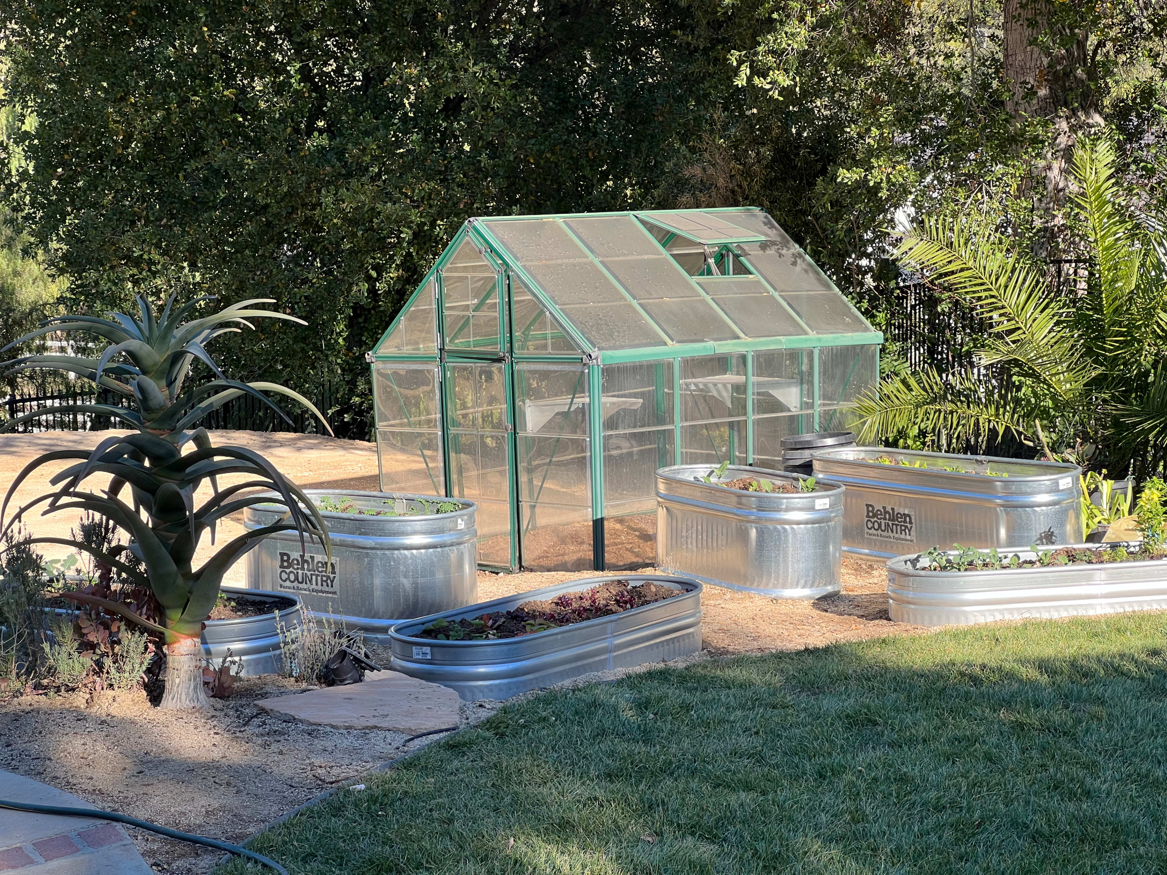 A greenhouse surrounded by several raised metal garden beds filled with plants in a landscaped yard.