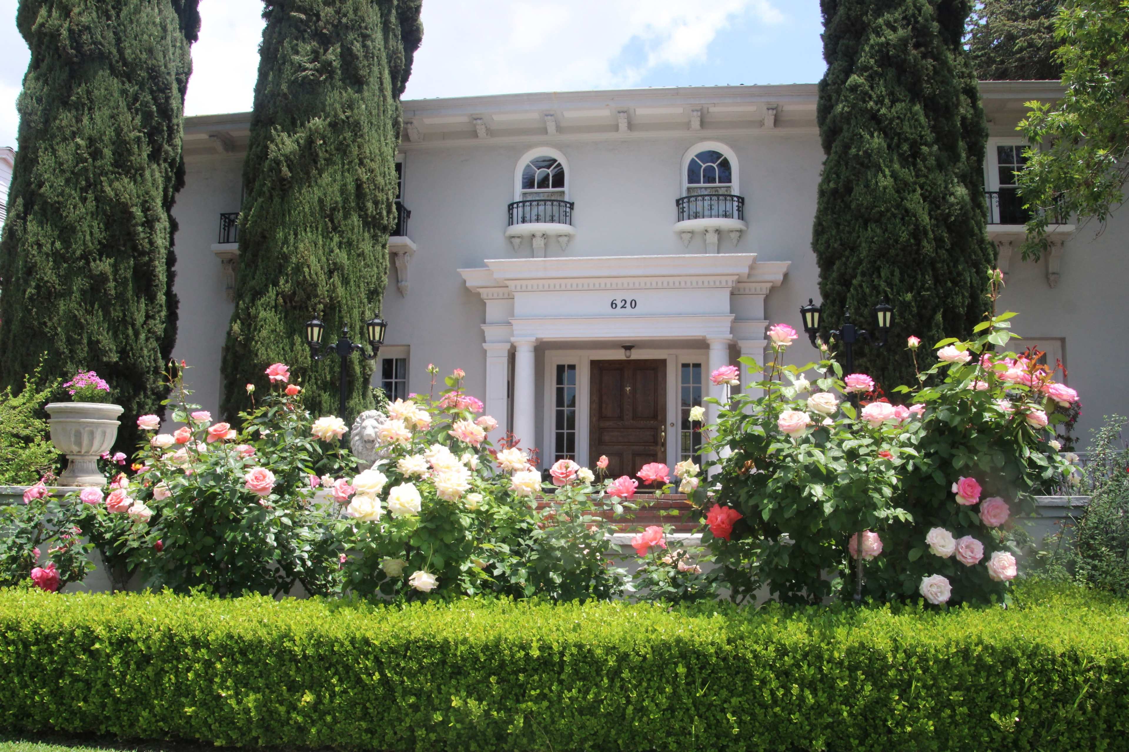 A large, two-story house with a columned entrance and surrounded by tall cypress trees and vibrant rose bushes.