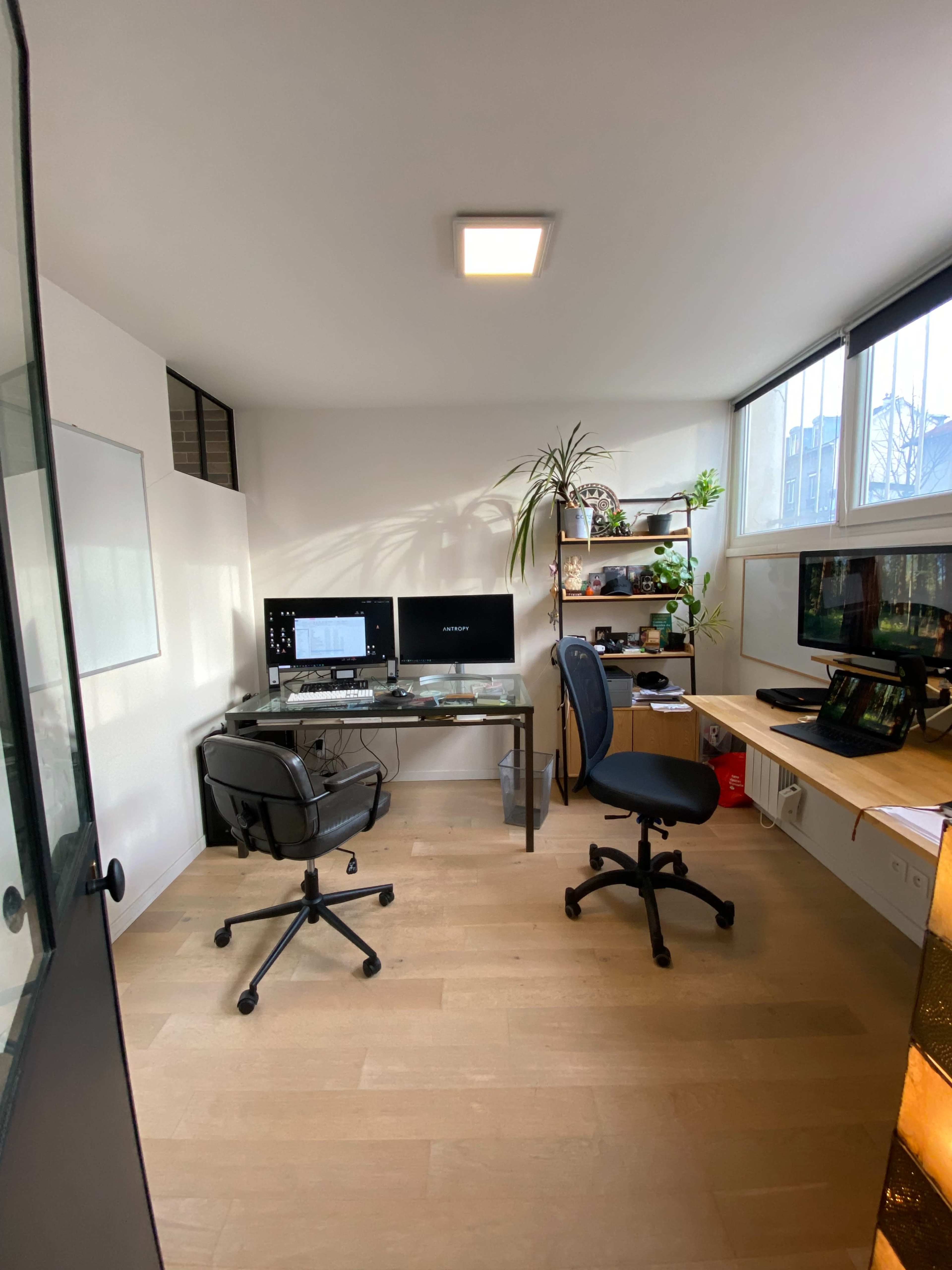 The image shows a modern home office with two computer desks, several monitors, and plants near the windows.