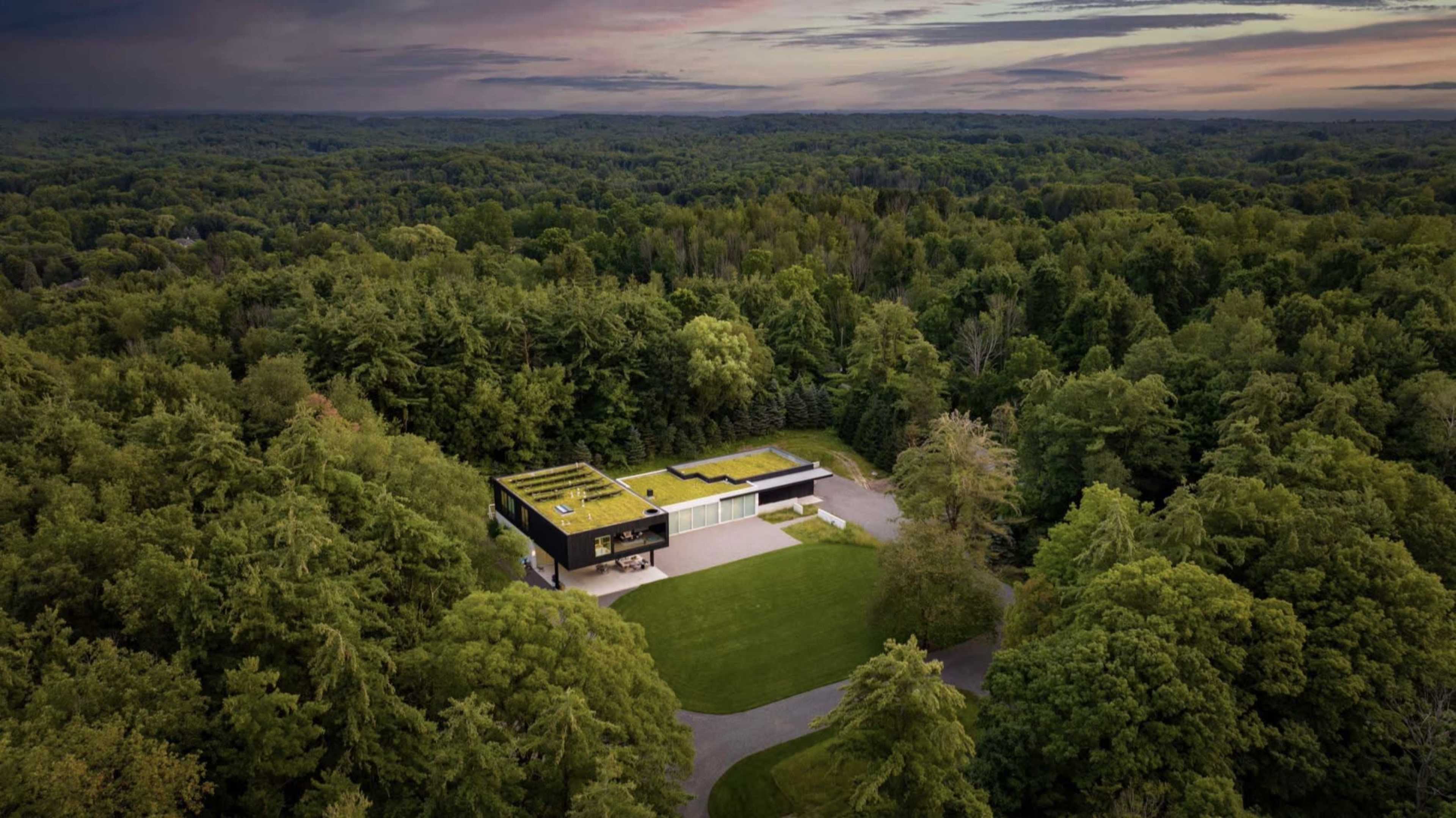 A modern house with a green roof is situated in a wooded area, surrounded by dense trees.