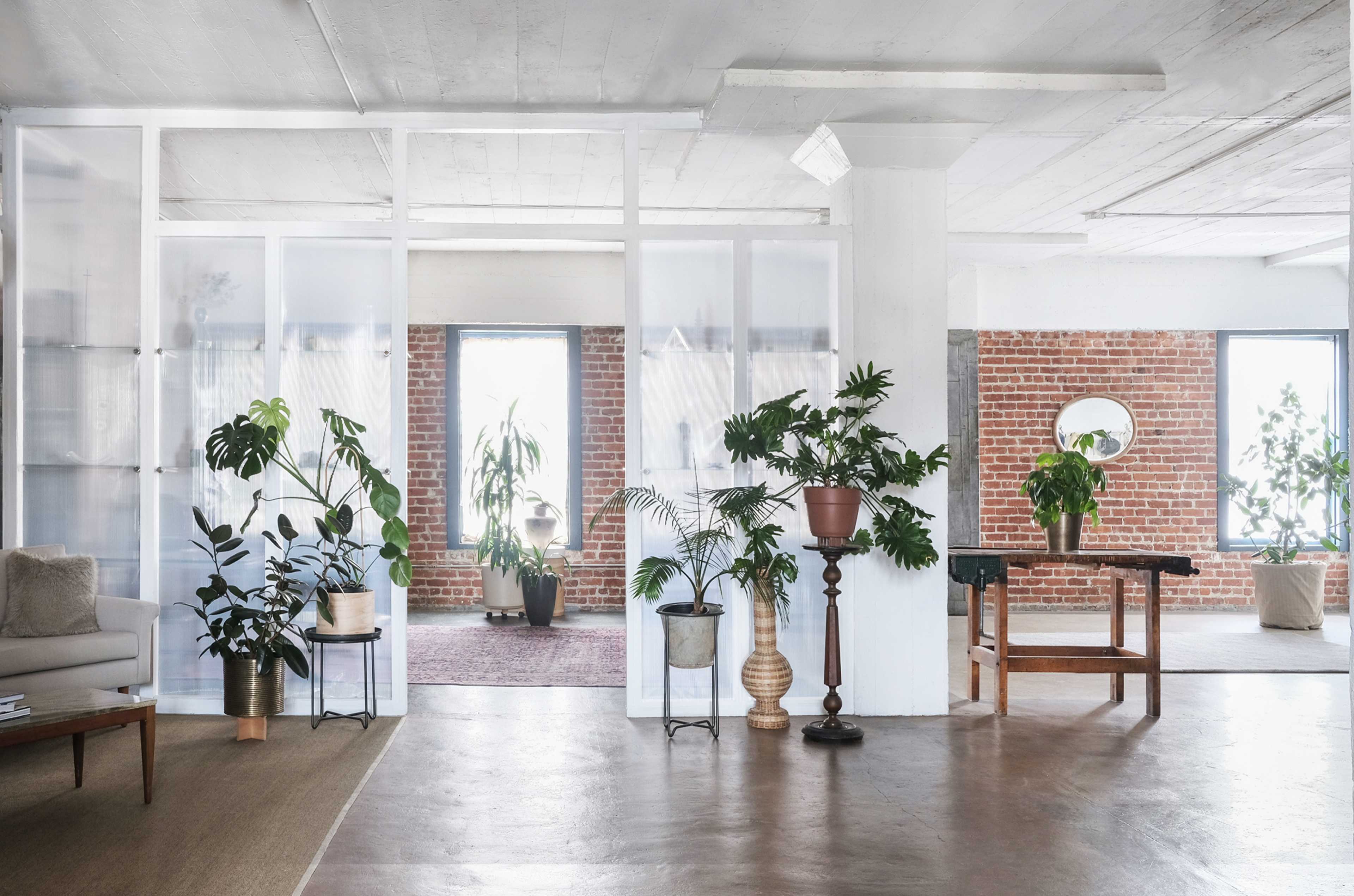 A spacious room with large windows, exposed brick walls, and various indoor plants arranged around simple furniture.