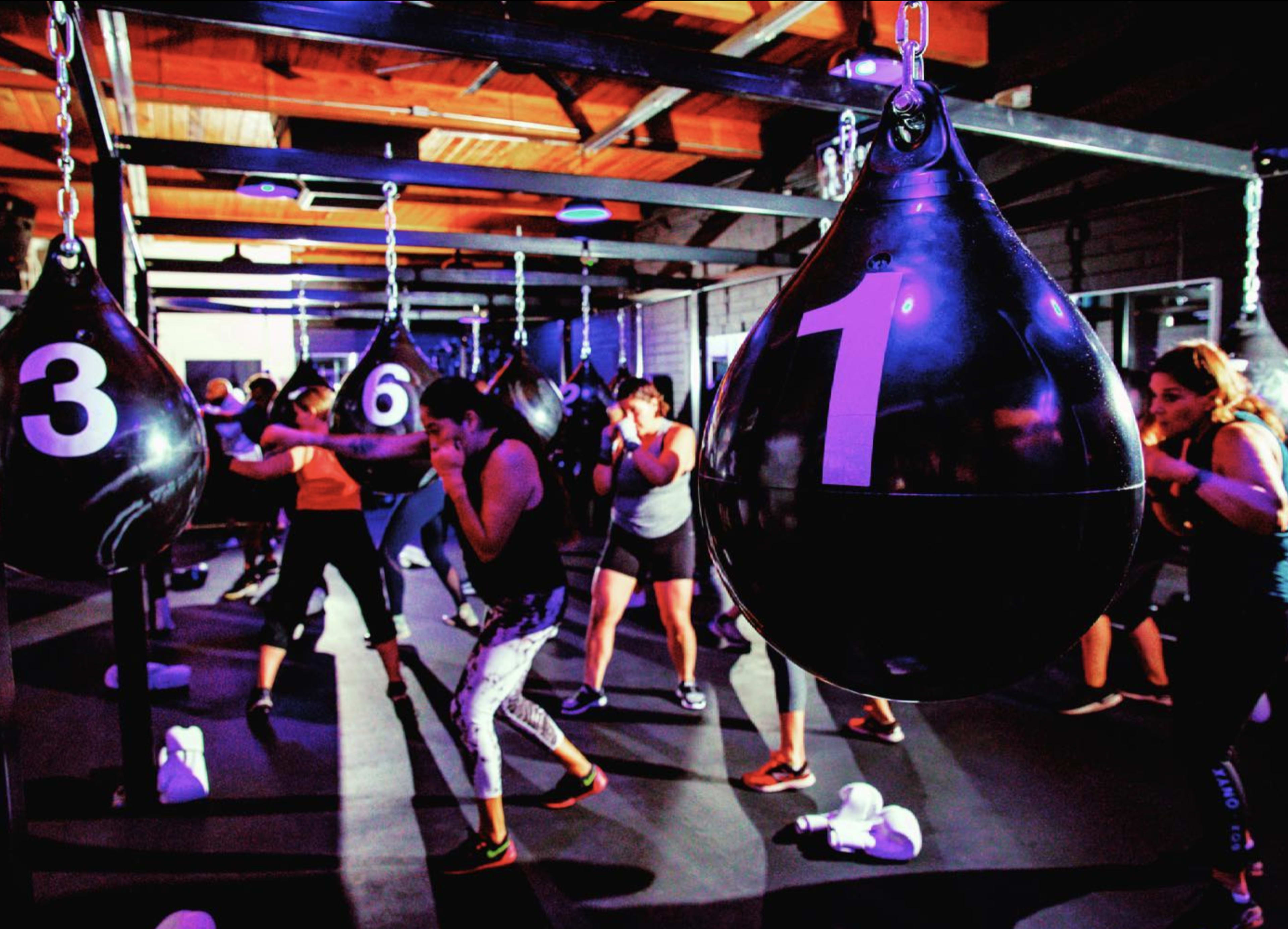 A group of individuals engages in a boxing workout in a gym, surrounded by hanging punching bags numbered one through six.
