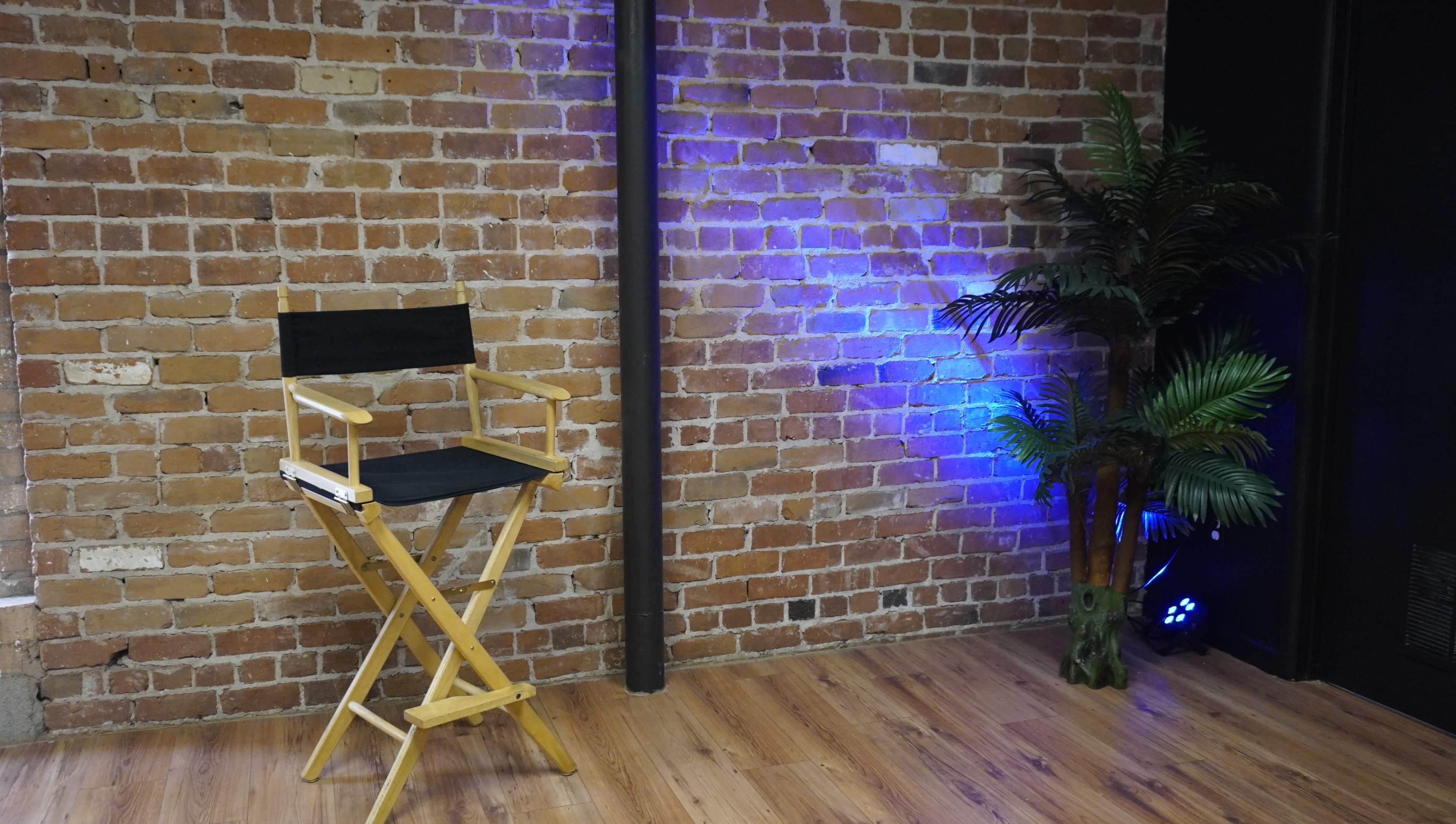 A wooden director's chair is positioned beside a potted plant against a brick wall illuminated with blue light.