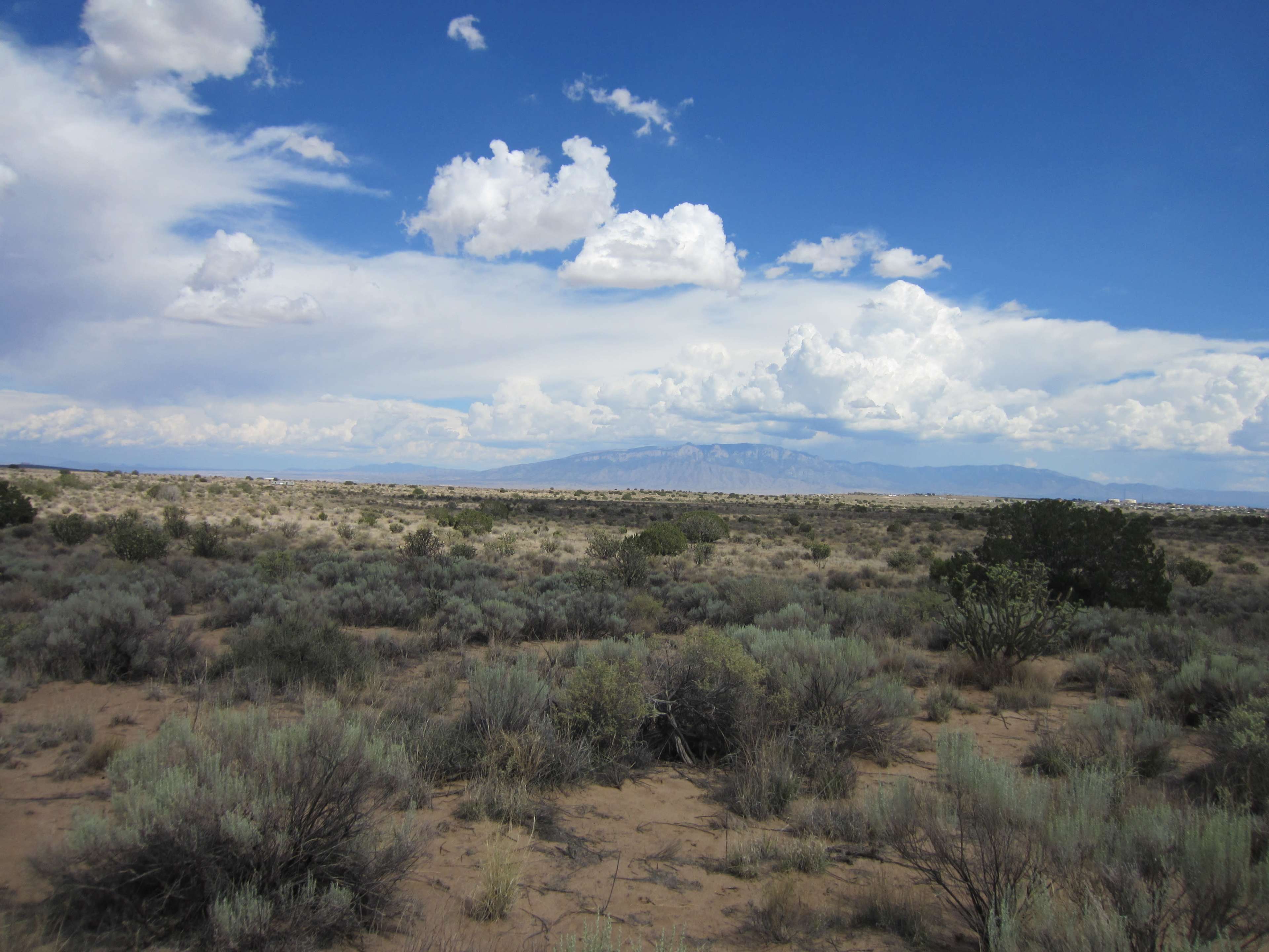 The image shows a vast desert landscape with scattered shrubs and a distant mountain range under a cloudy sky.
