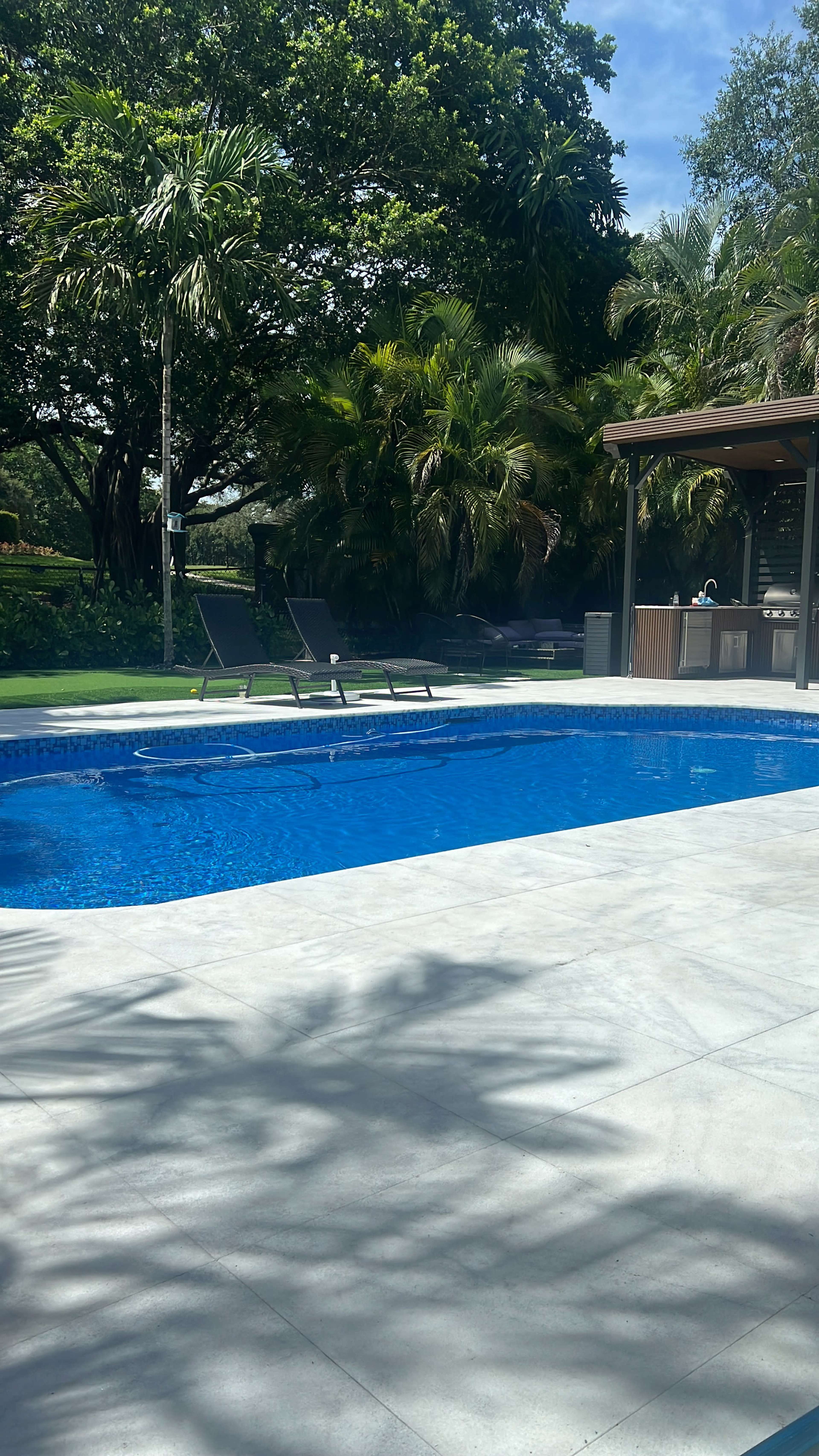 The image shows a swimming pool surrounded by palm trees, with two loungers positioned nearby and an outdoor structure partially visible.