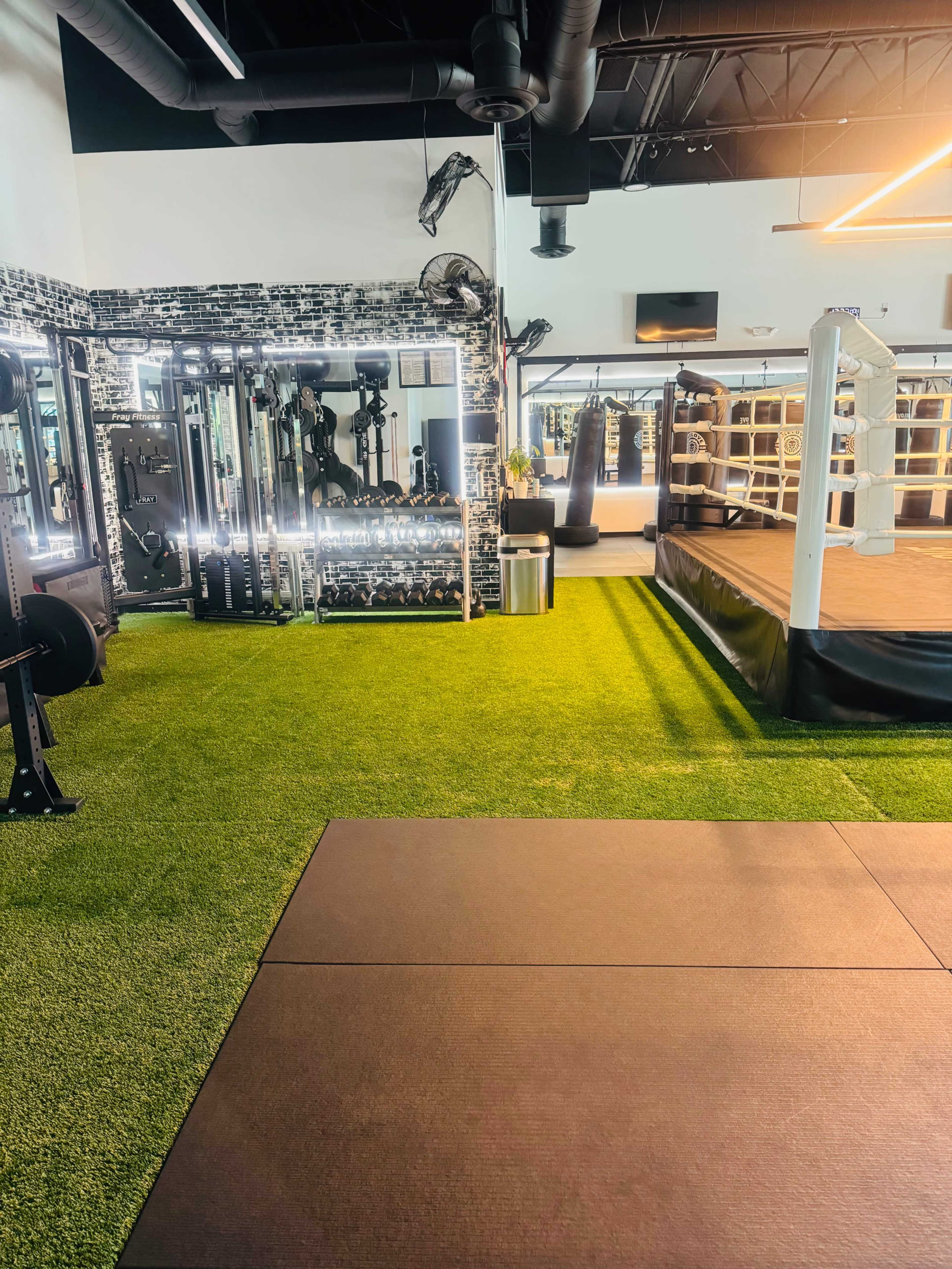A gym area with artificial turf flooring, a boxing ring, weightlifting equipment, and various fitness machines.