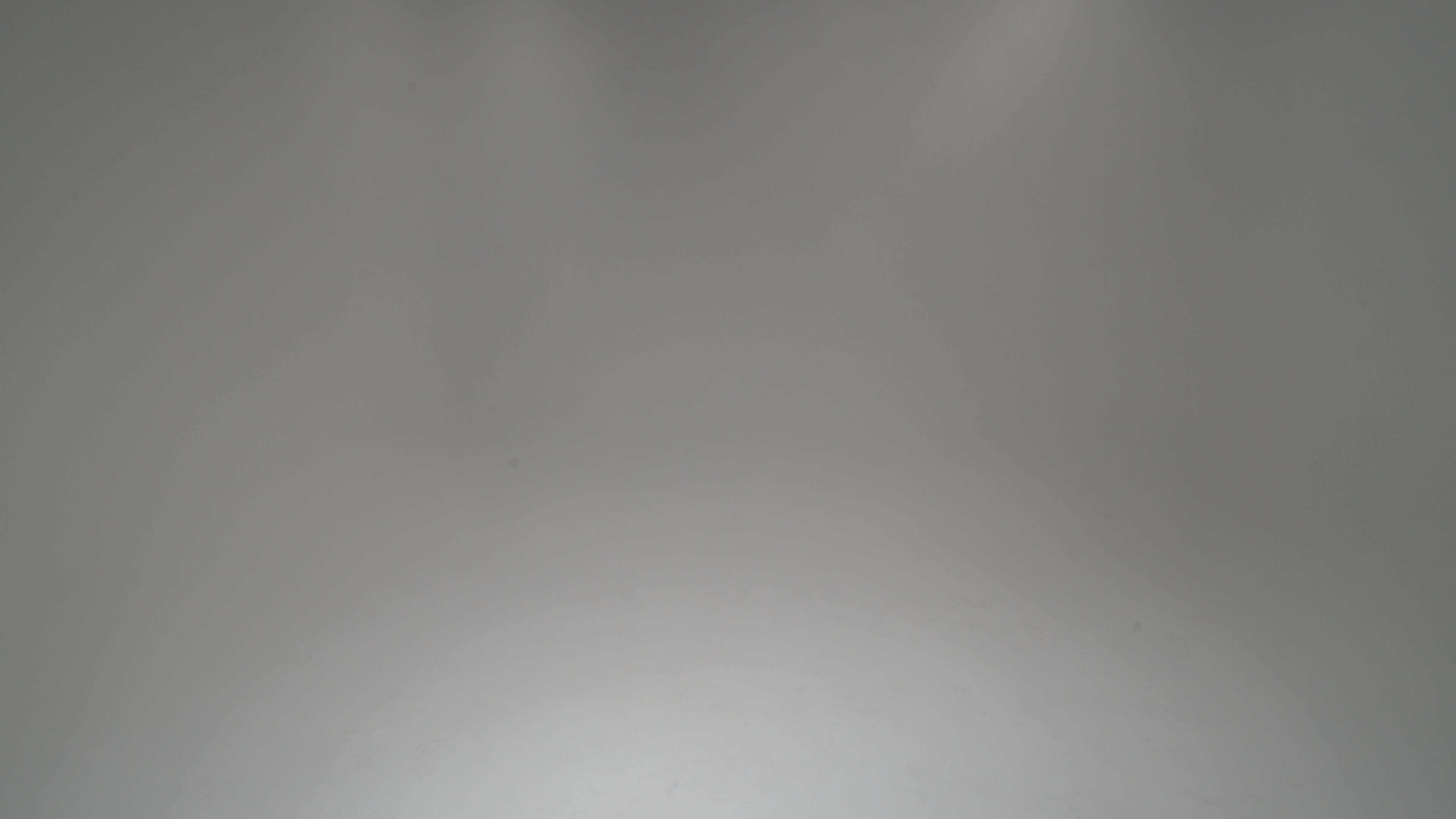 A featureless gray background is illuminated by soft, overhead lighting.