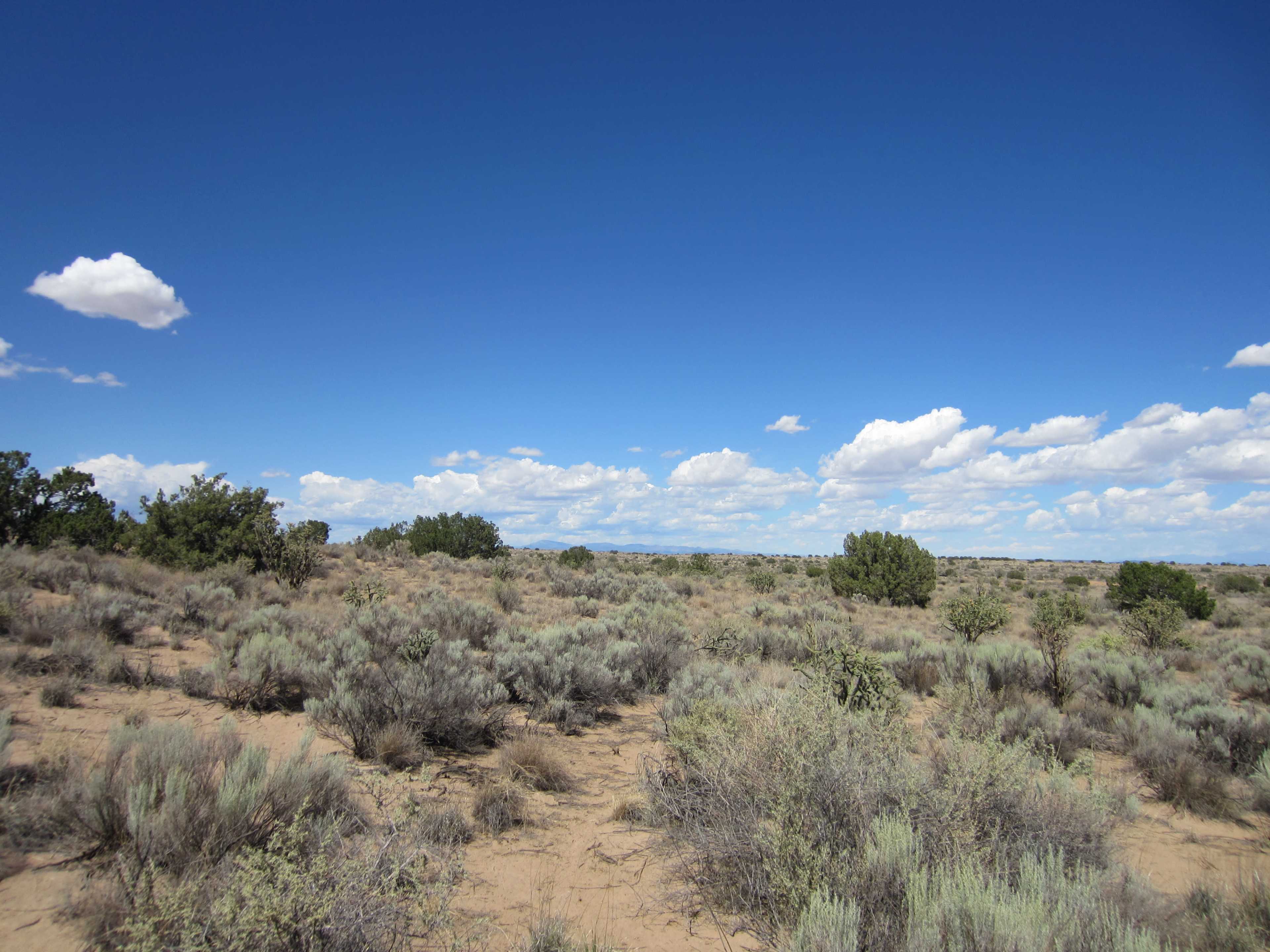 The image shows a vast, dry landscape featuring sparse vegetation and a clear blue sky with scattered clouds.