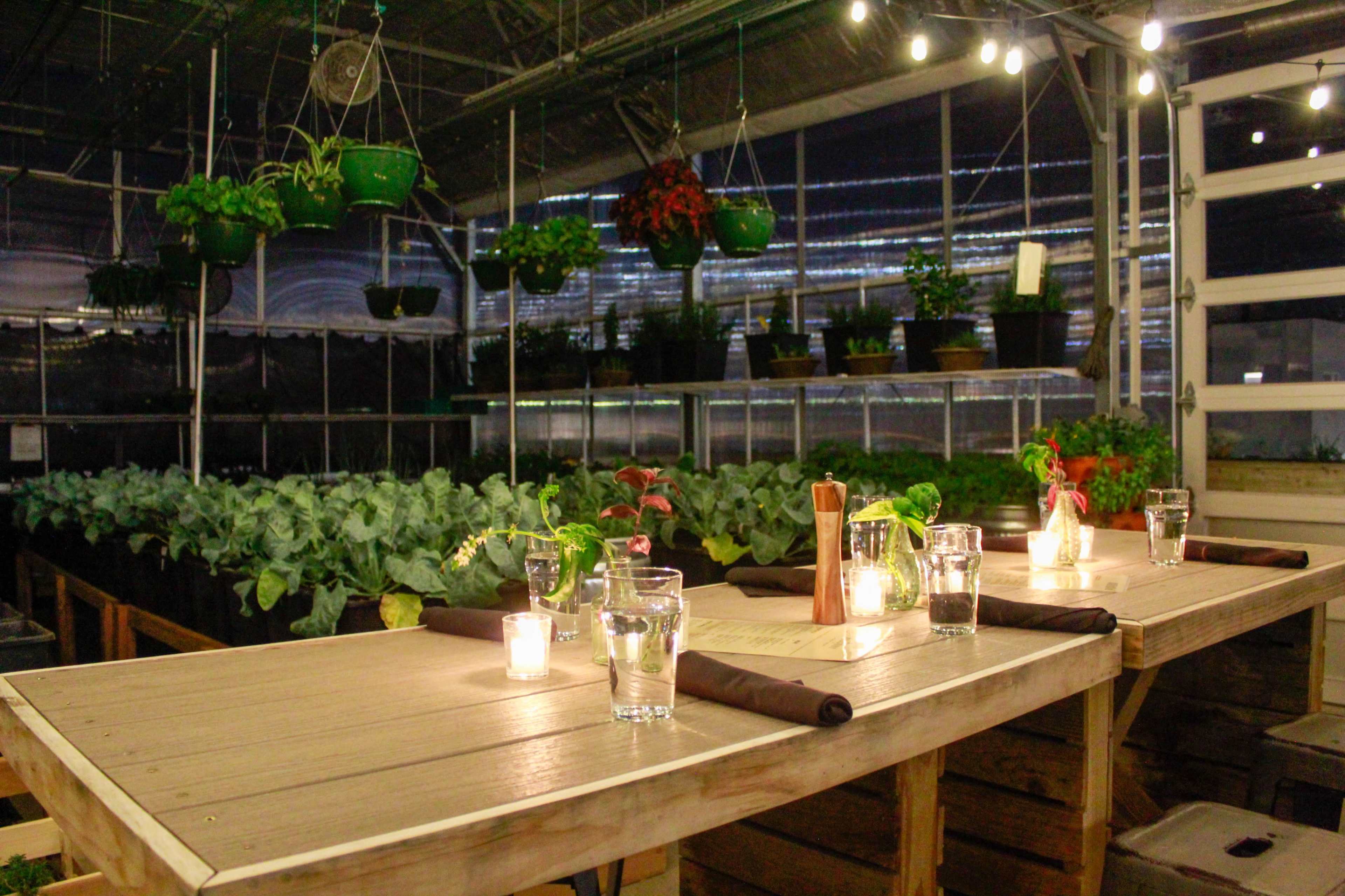 A wooden table is set with candles and glassware in a greenhouse filled with various potted plants and vegetables.