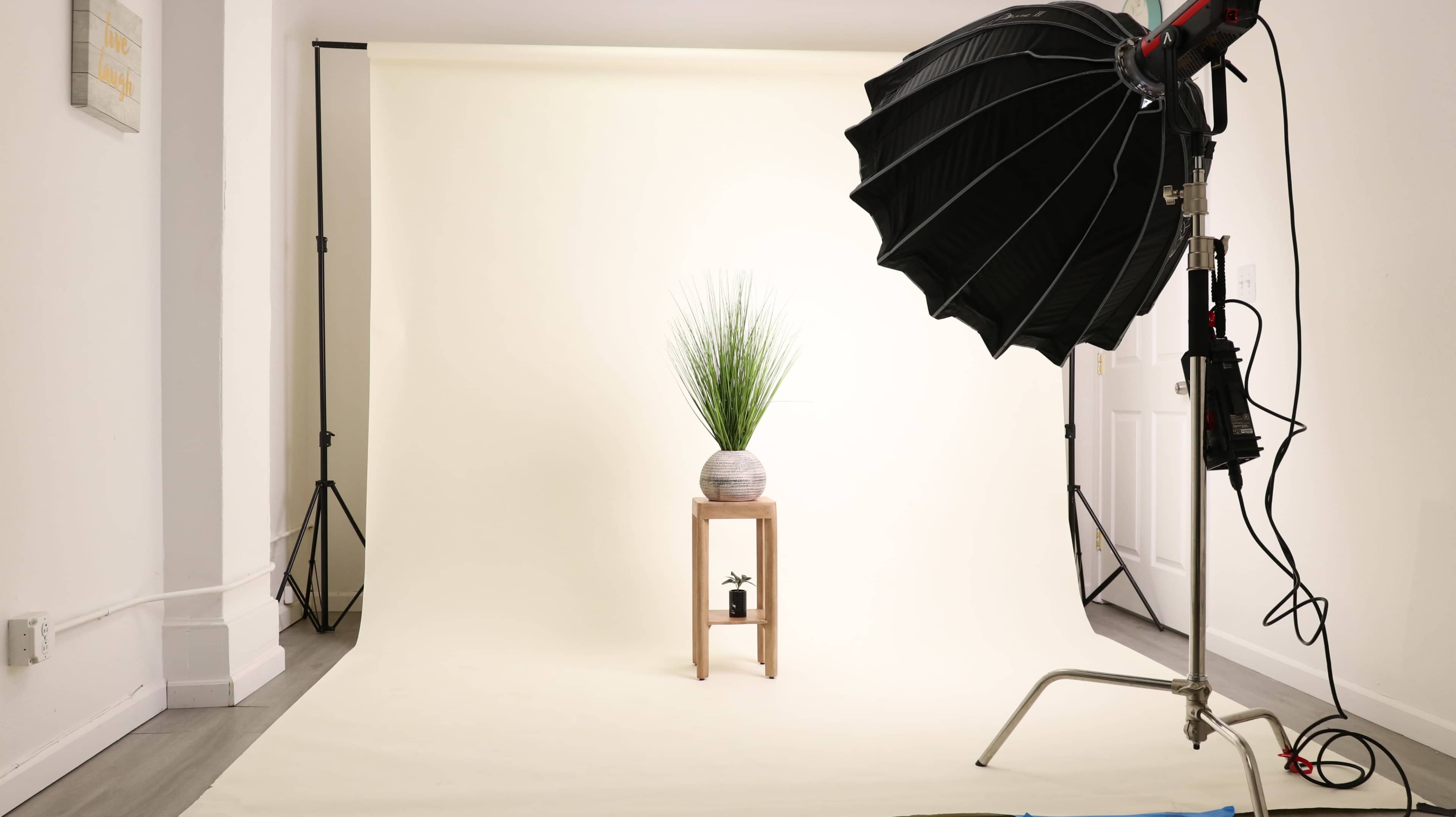 The scene shows a photography studio setup featuring a light umbrella, a potted plant on a wooden table, and a light-colored backdrop.