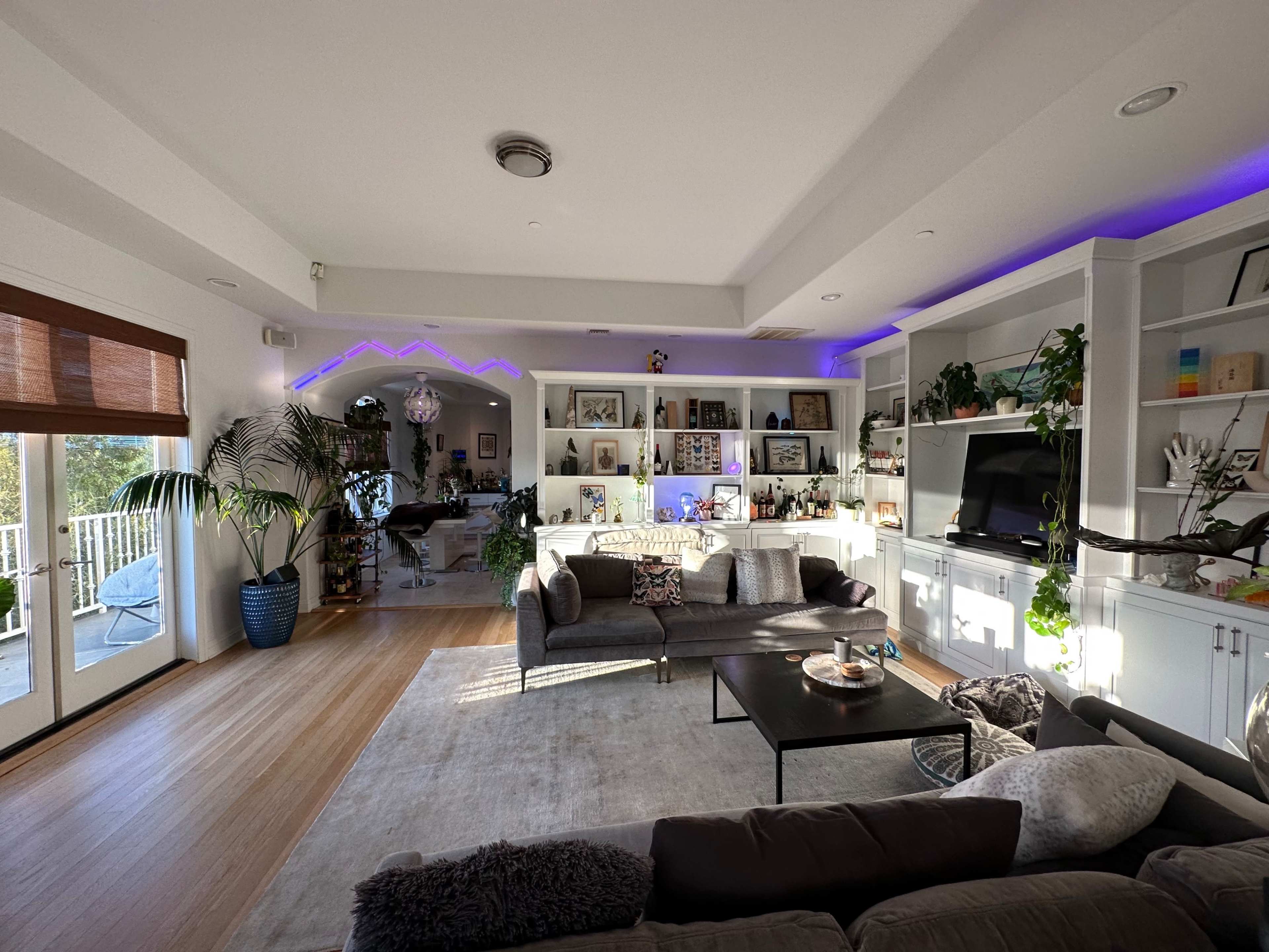 A modern living room with a gray sofa, a black coffee table, and shelves filled with decor items, enhanced by purple LED lighting.