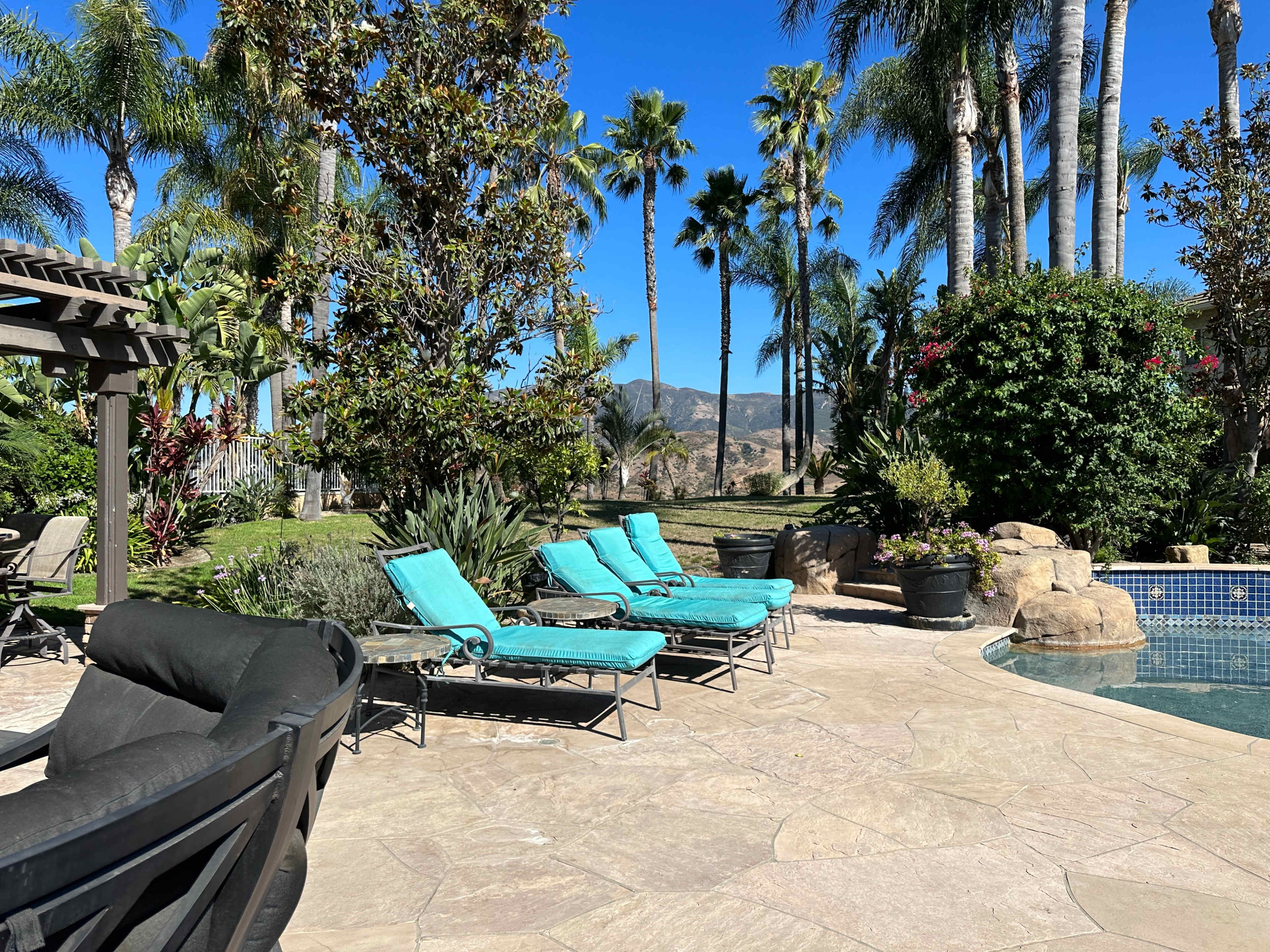 The scene features a backyard with a swimming pool surrounded by lounge chairs and tall palm trees against a clear blue sky.