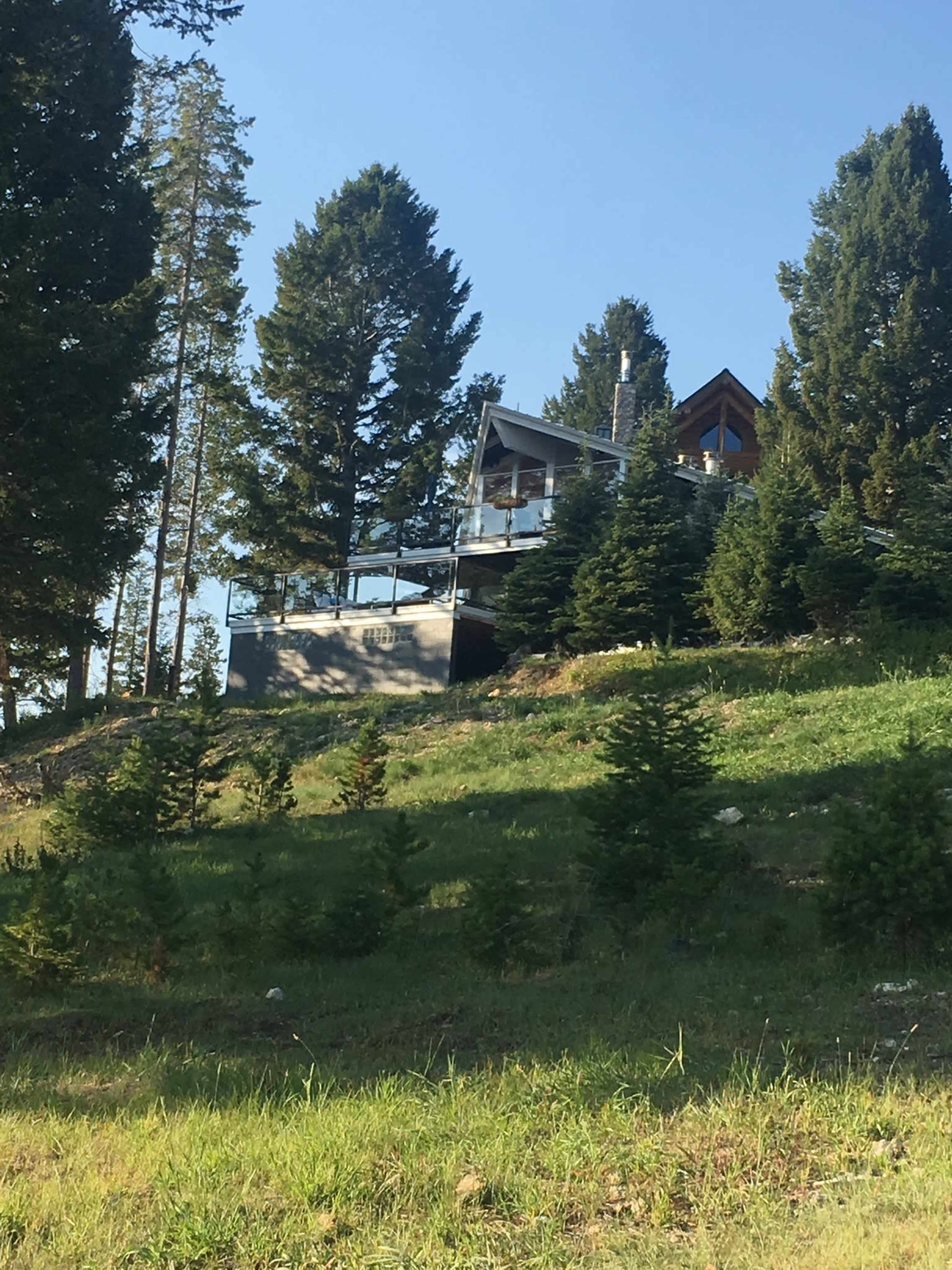 A modern house sits on a hillside surrounded by tall trees and a grassy area.