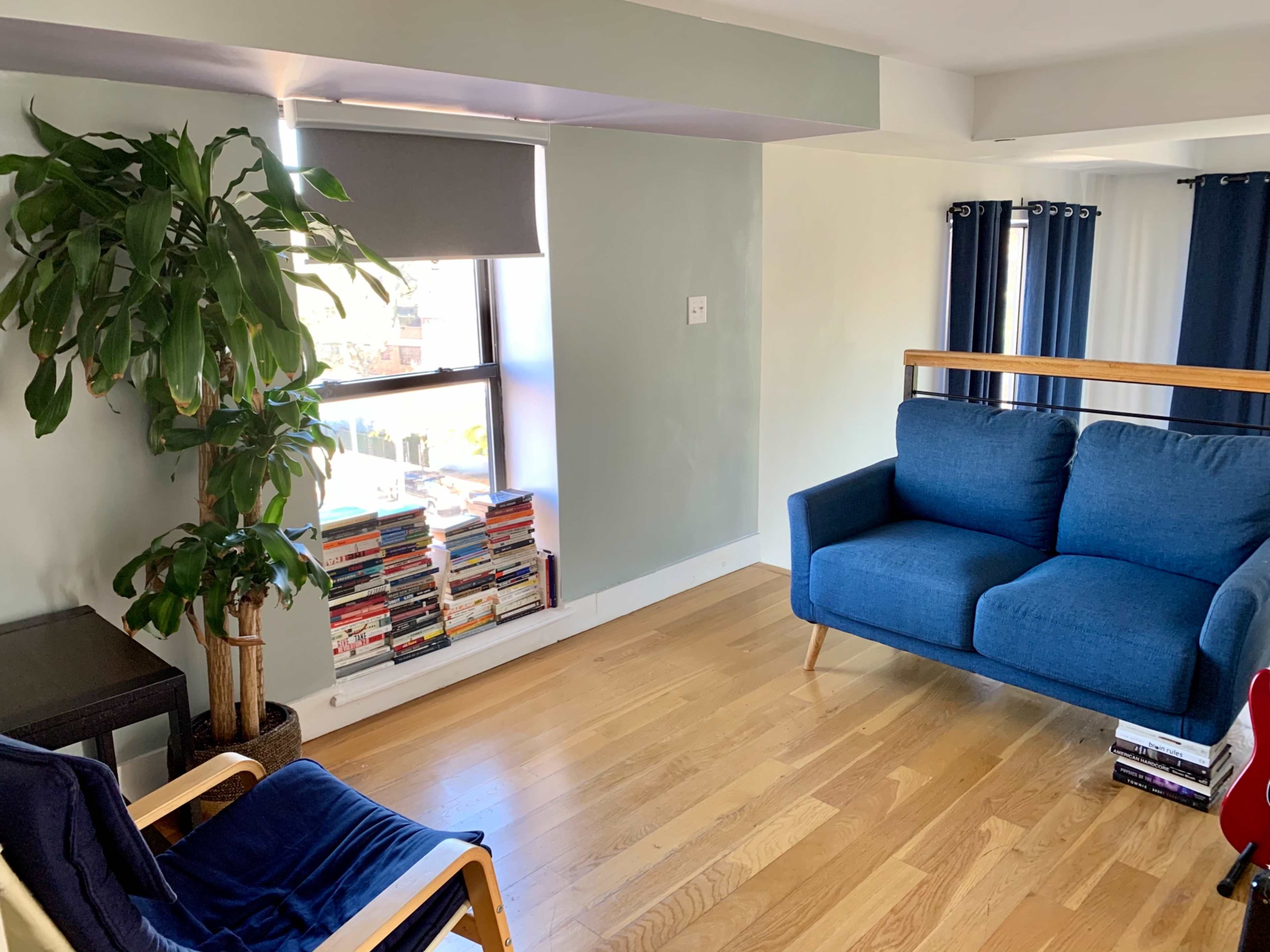 The image shows a bright room with a blue sofa, a bookshelf filled with books, a potted plant by the window, and blue curtains.