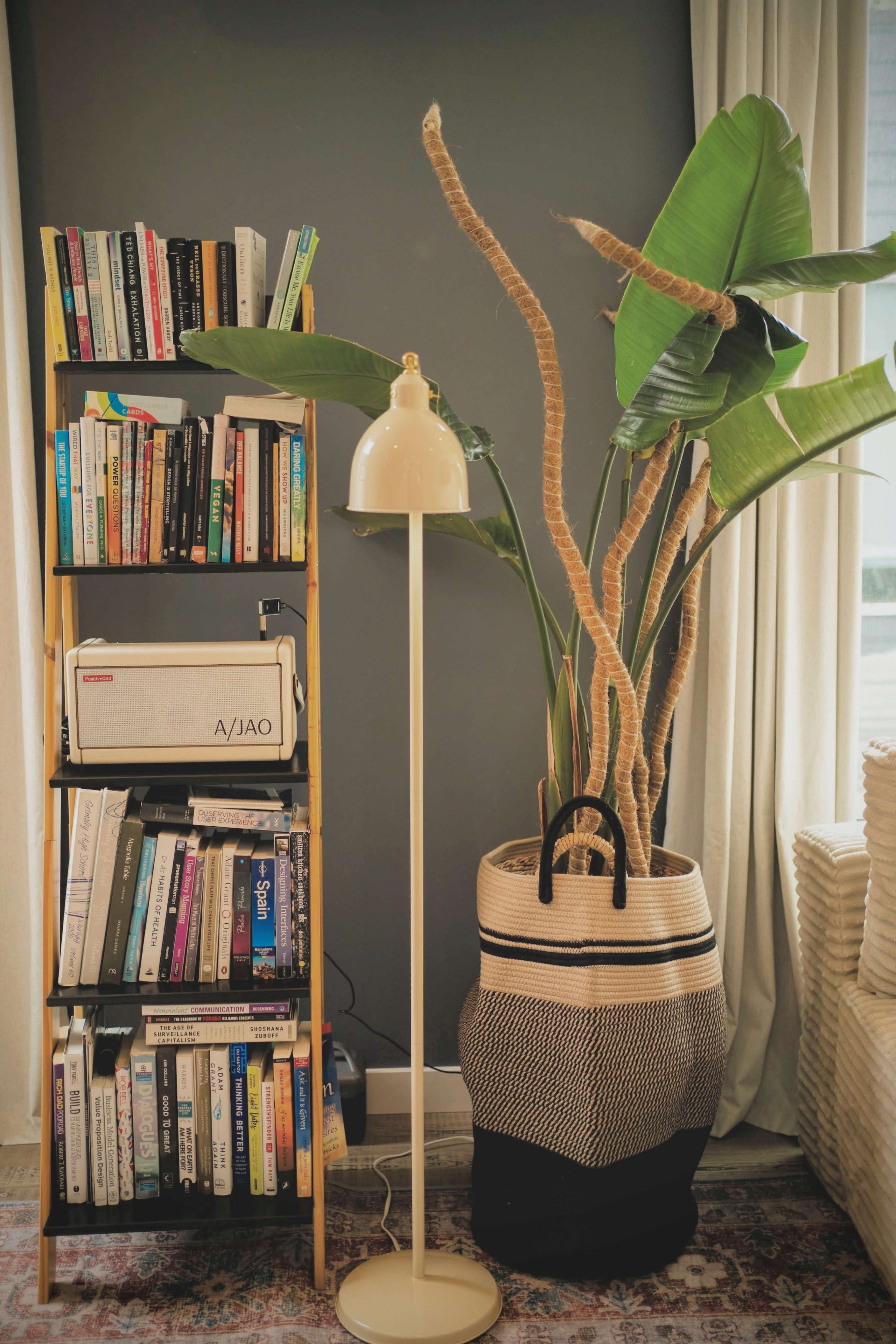 A wooden bookshelf filled with various books stands beside a tall potted plant and a floor lamp in a cozy room.