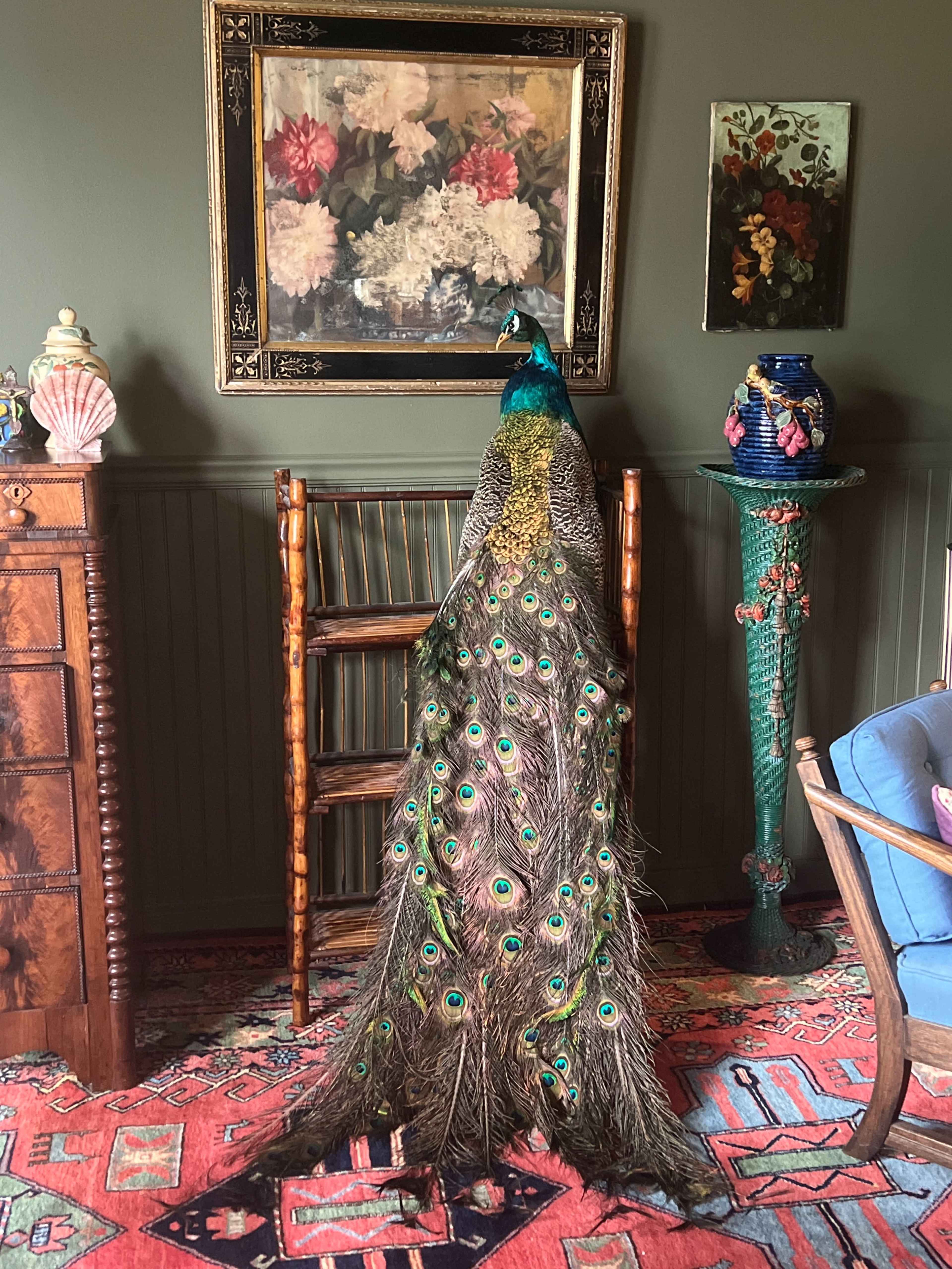 A peacock stands next to a wooden chair in a room adorned with floral paintings and decorative vases.