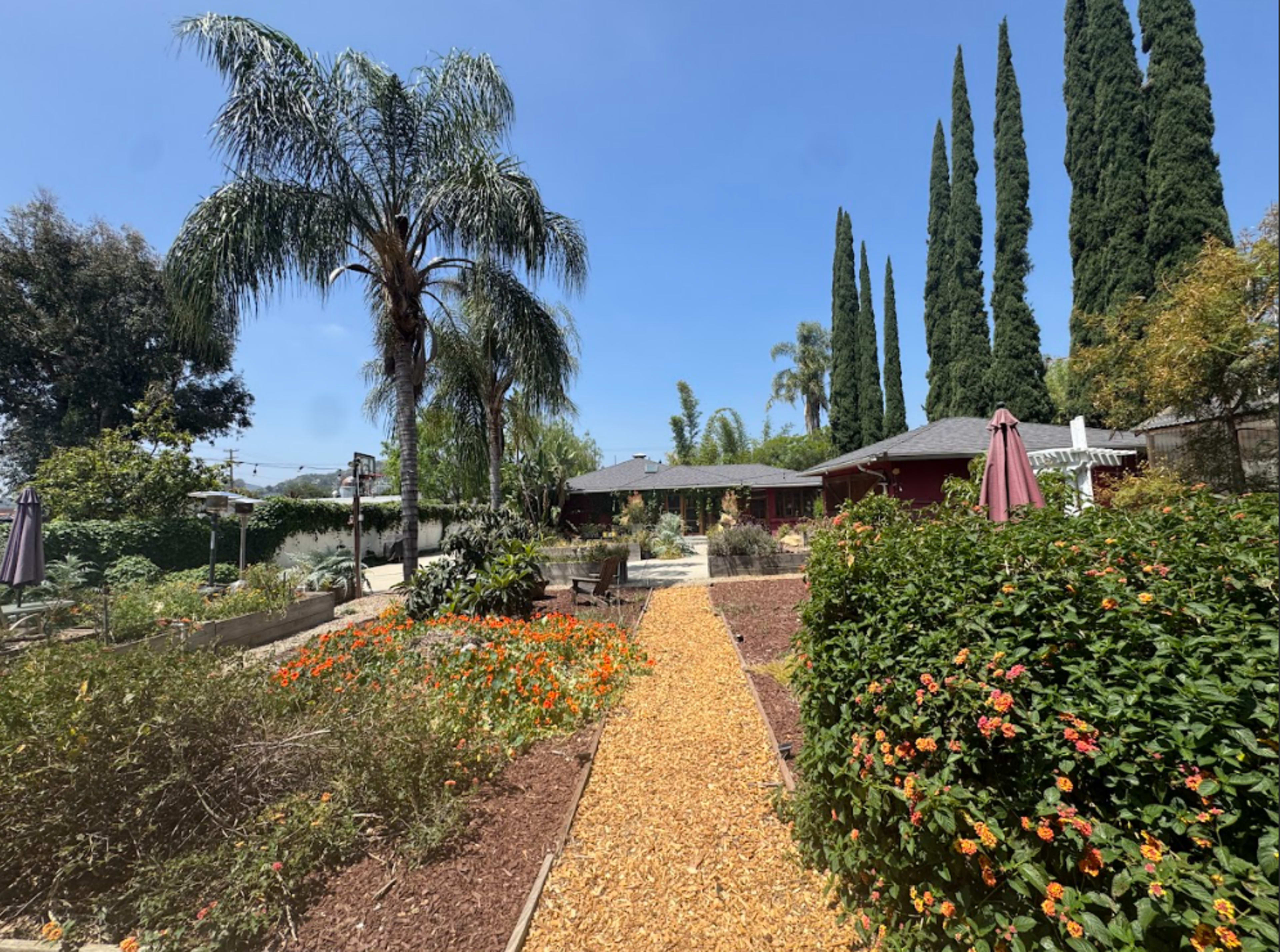 The image shows a garden pathway lined with flowers and surrounded by tall trees and a house in the background.