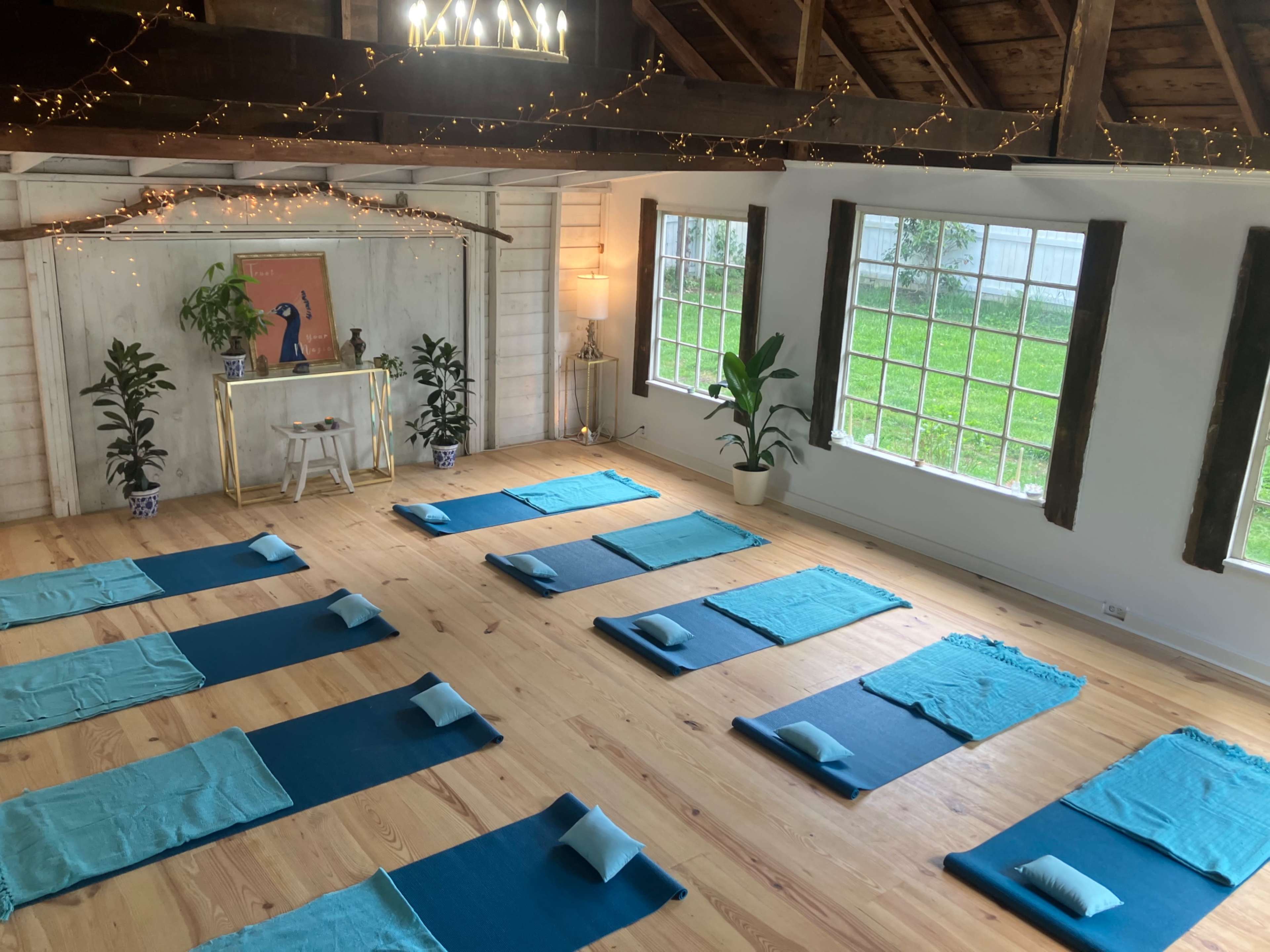 The image shows a yoga studio with blue mats arranged on a wooden floor, surrounded by plants and illuminated by natural light from large windows.