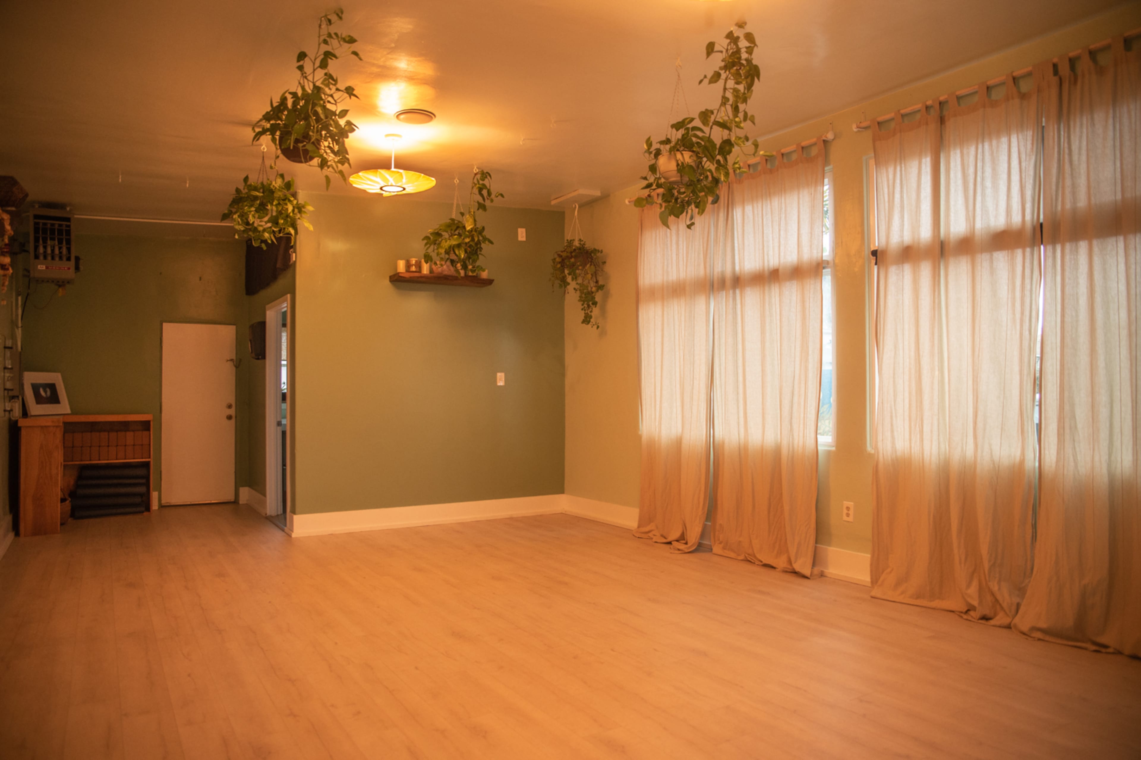 The image shows a spacious, empty room with light-colored wooden flooring, large windows covered by sheer curtains, and several hanging plants from the ceiling.