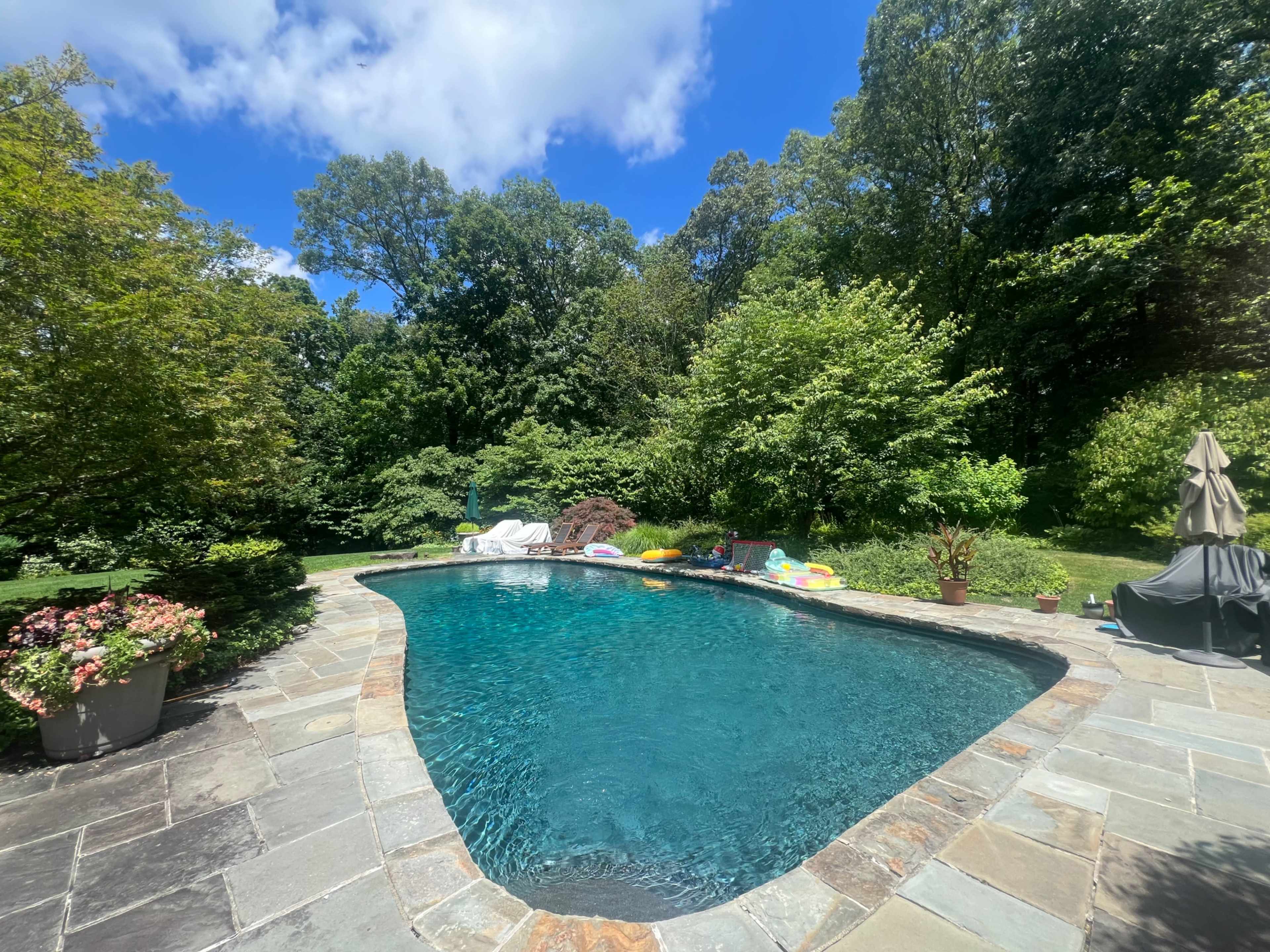 A curved, stone-lined swimming pool surrounded by greenery and patio furniture under a bright blue sky.