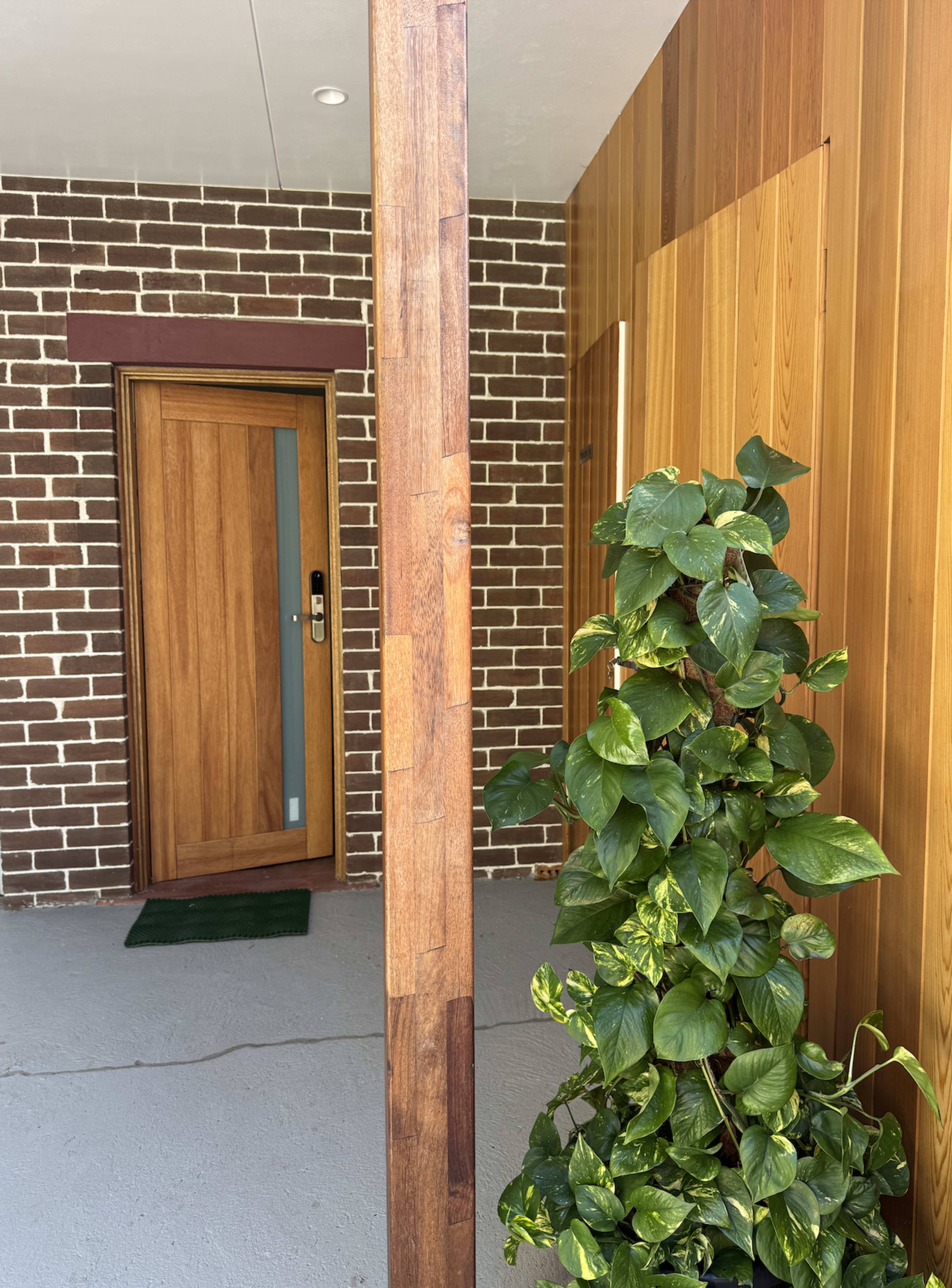 The image shows a wooden front door set within a brick wall, accompanied by a thriving green plant positioned nearby.