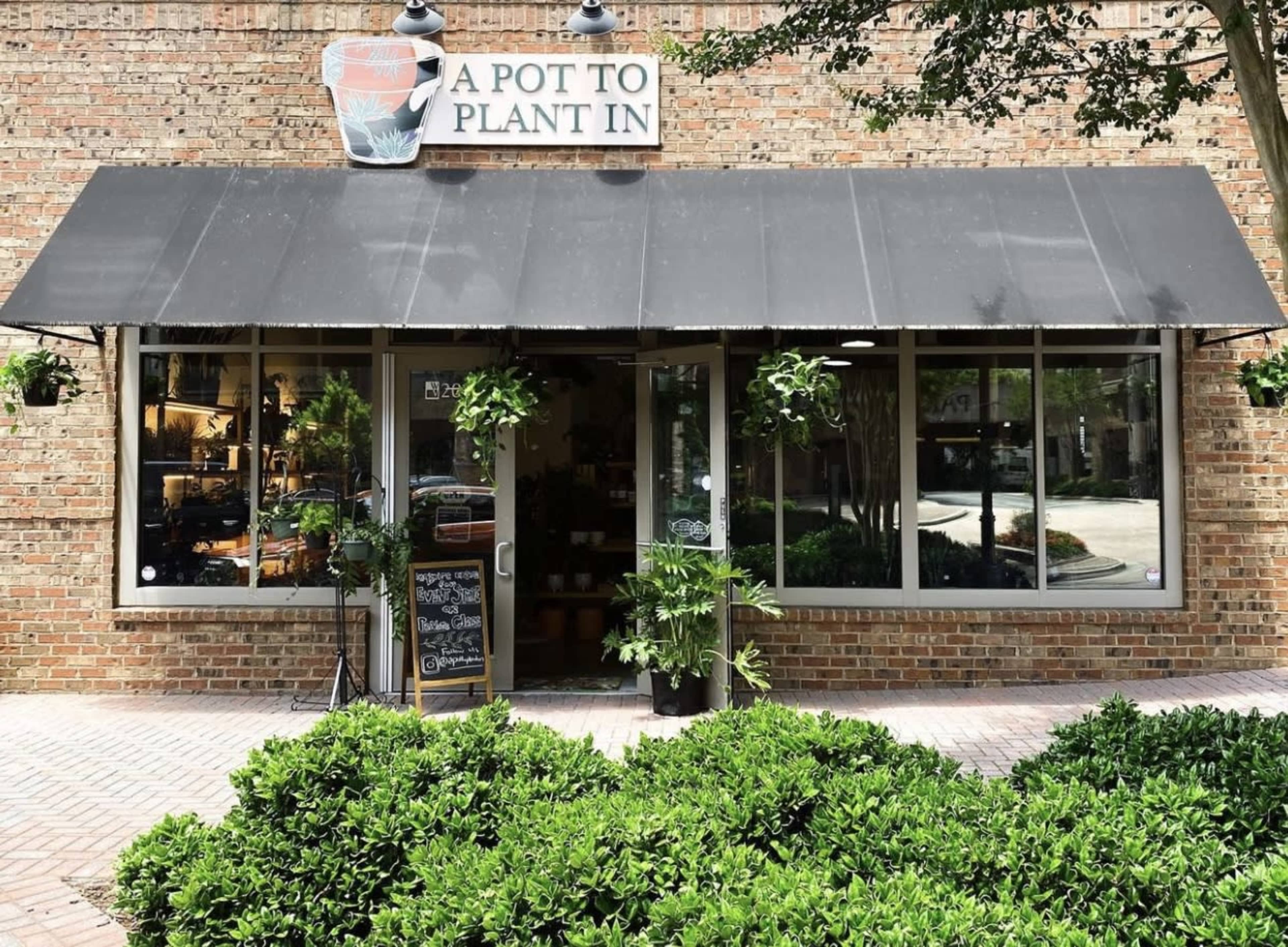 Smyrna/Vinings Charming Houseplant Shop Image in , Smyrna, GA