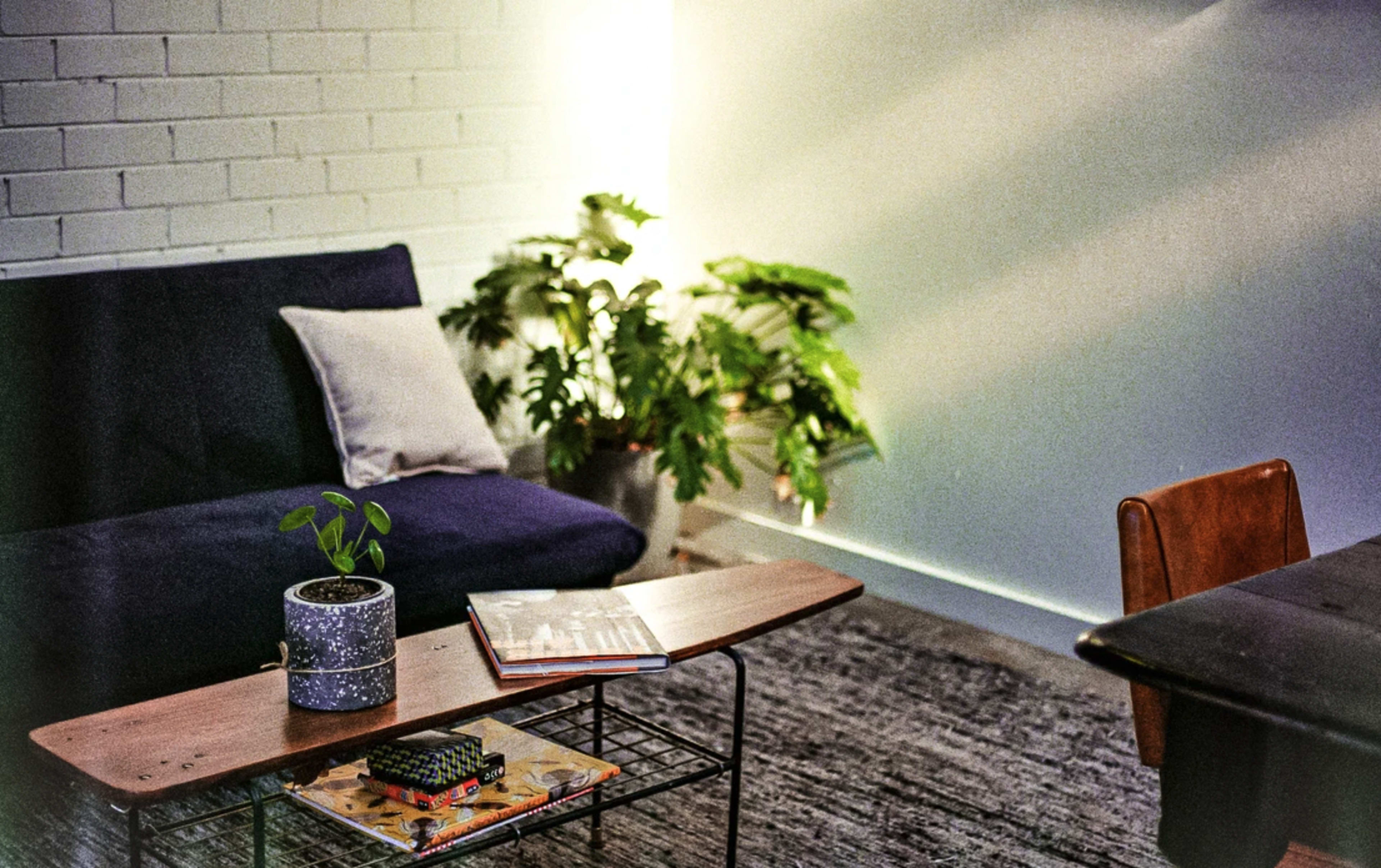 A modern living room features a dark blue sofa with a cushion, a wooden coffee table with a decorative plant and a stack of magazines, and potted plants in the background.