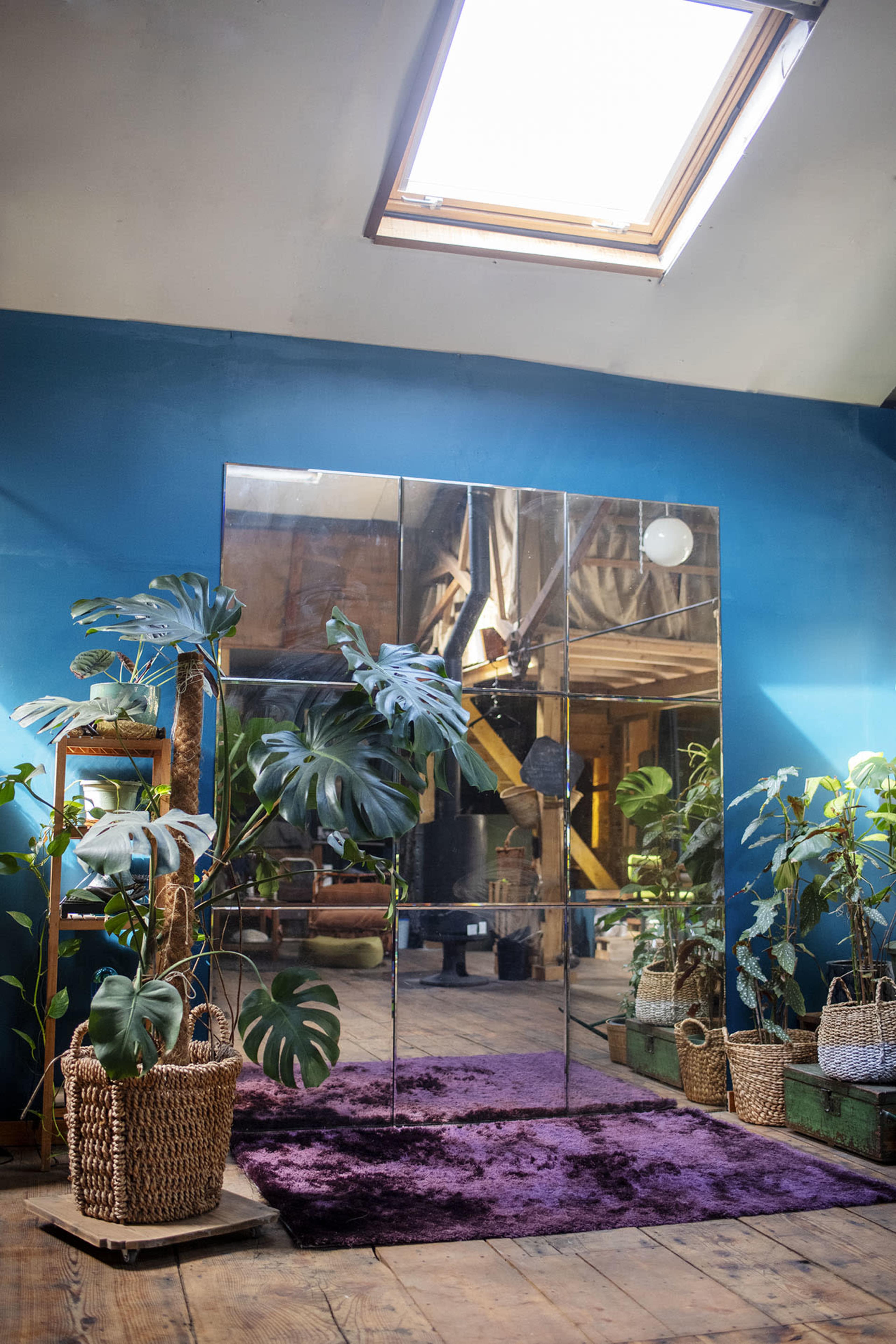 The image shows a brightly lit room with a large mirror on a blue wall, surrounded by potted plants in woven baskets and a purple rug on a wooden floor.