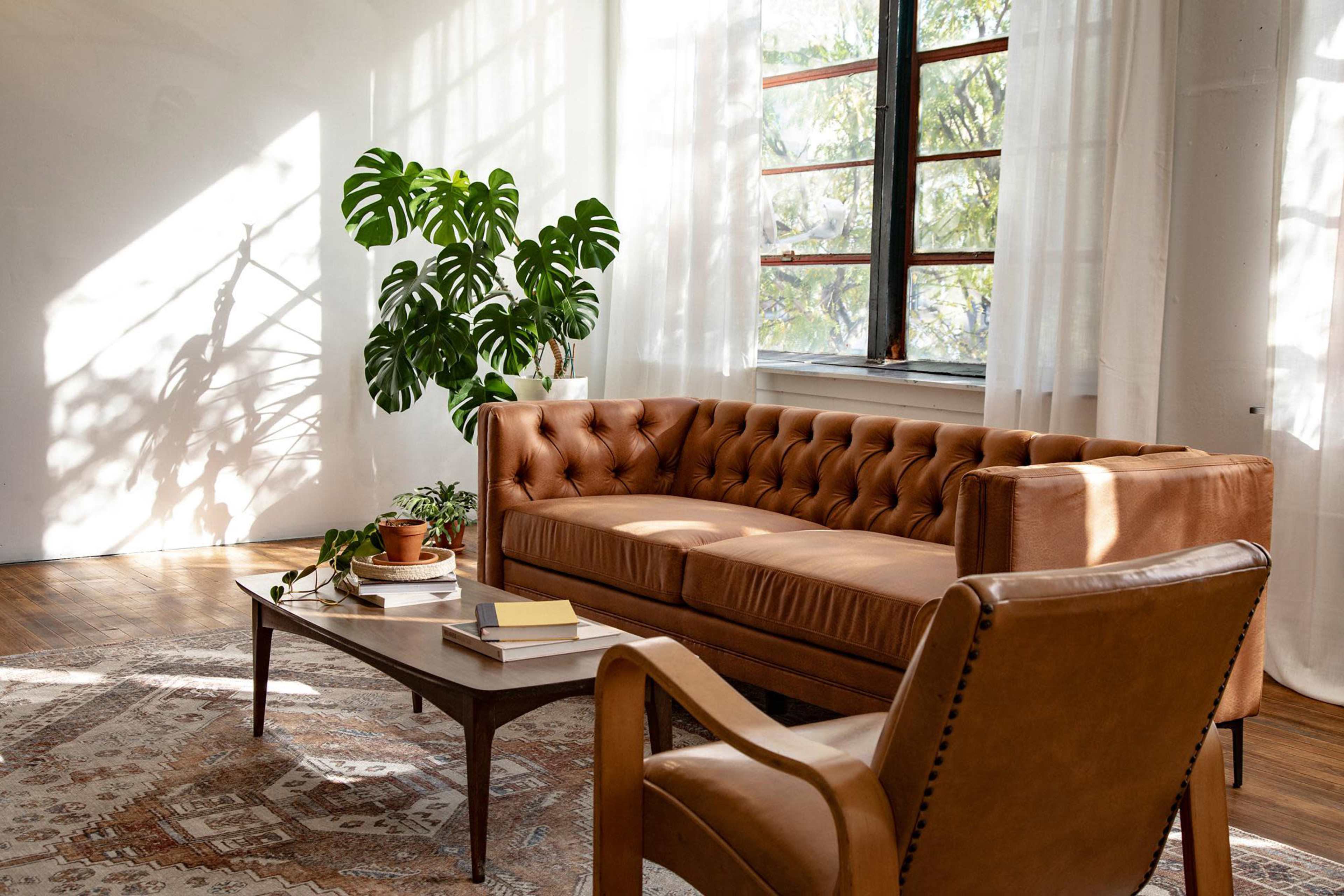 The image shows a well-lit living room featuring a brown tufted sofa, a wooden coffee table with books, and a potted plant beside large windows.