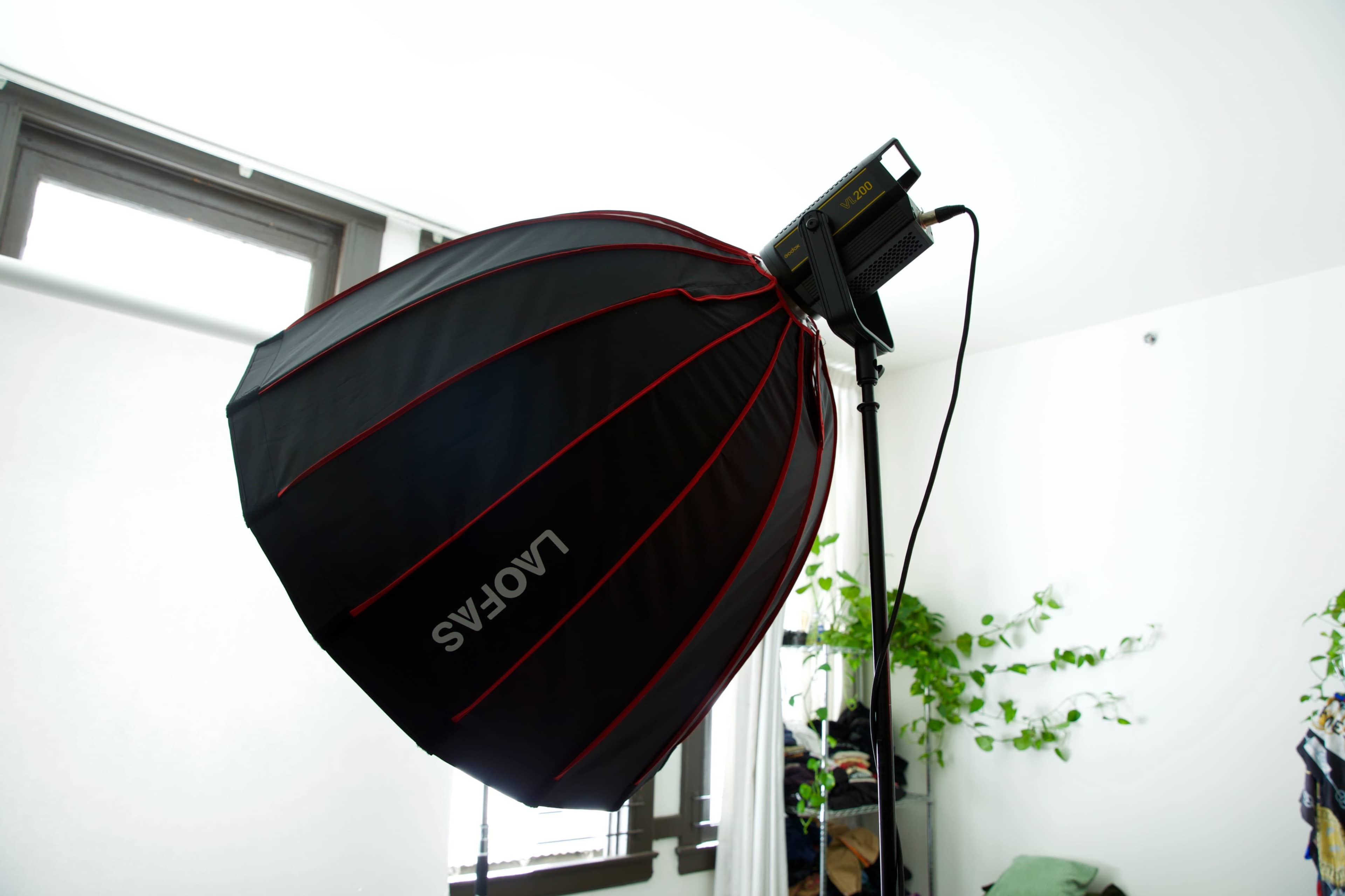 A softbox light is positioned on a stand in a room with green plants visible in the background.