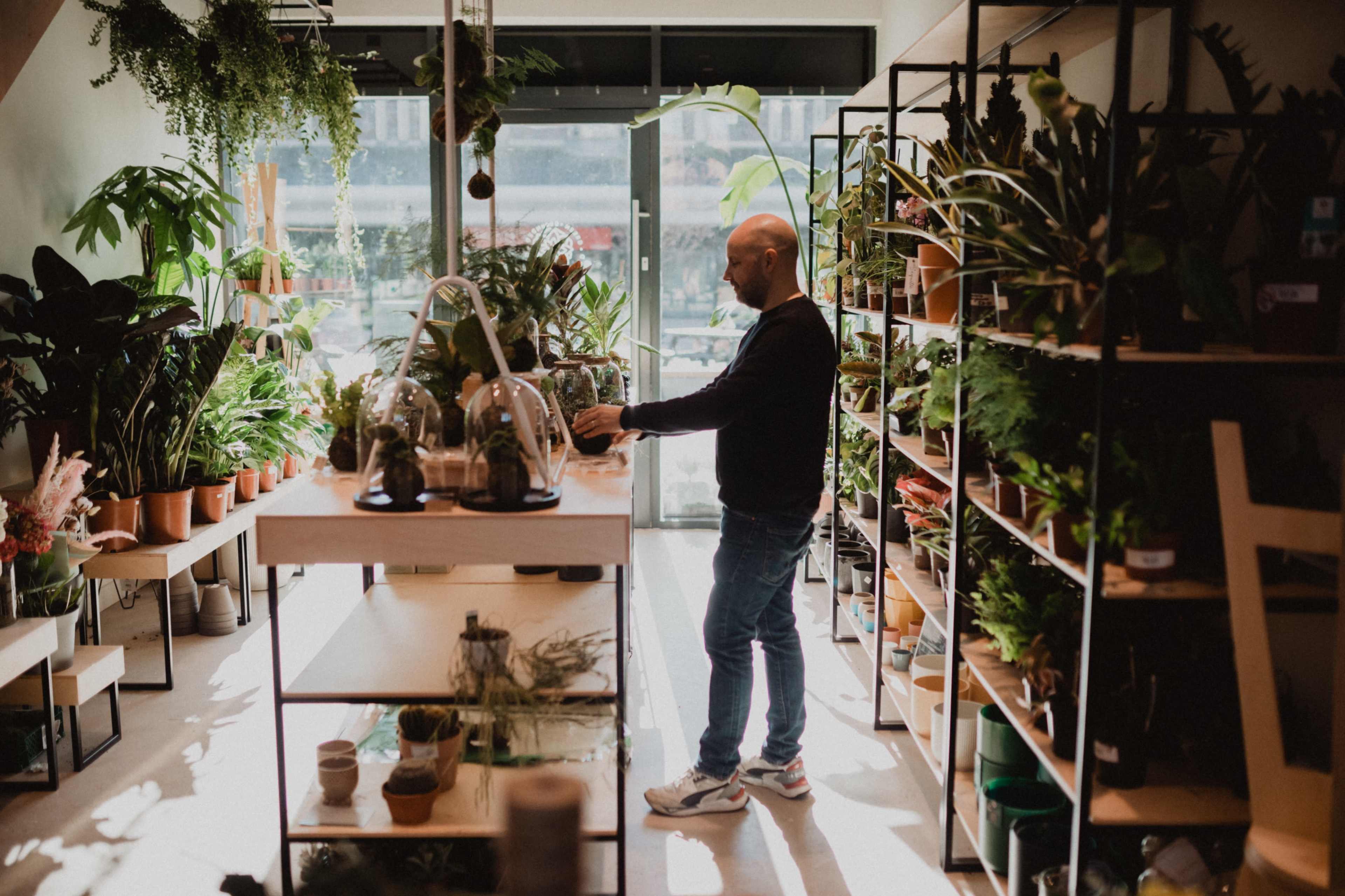 Florist and plant shop in a trendy shopping centre Image in Sale, Sale, ENG