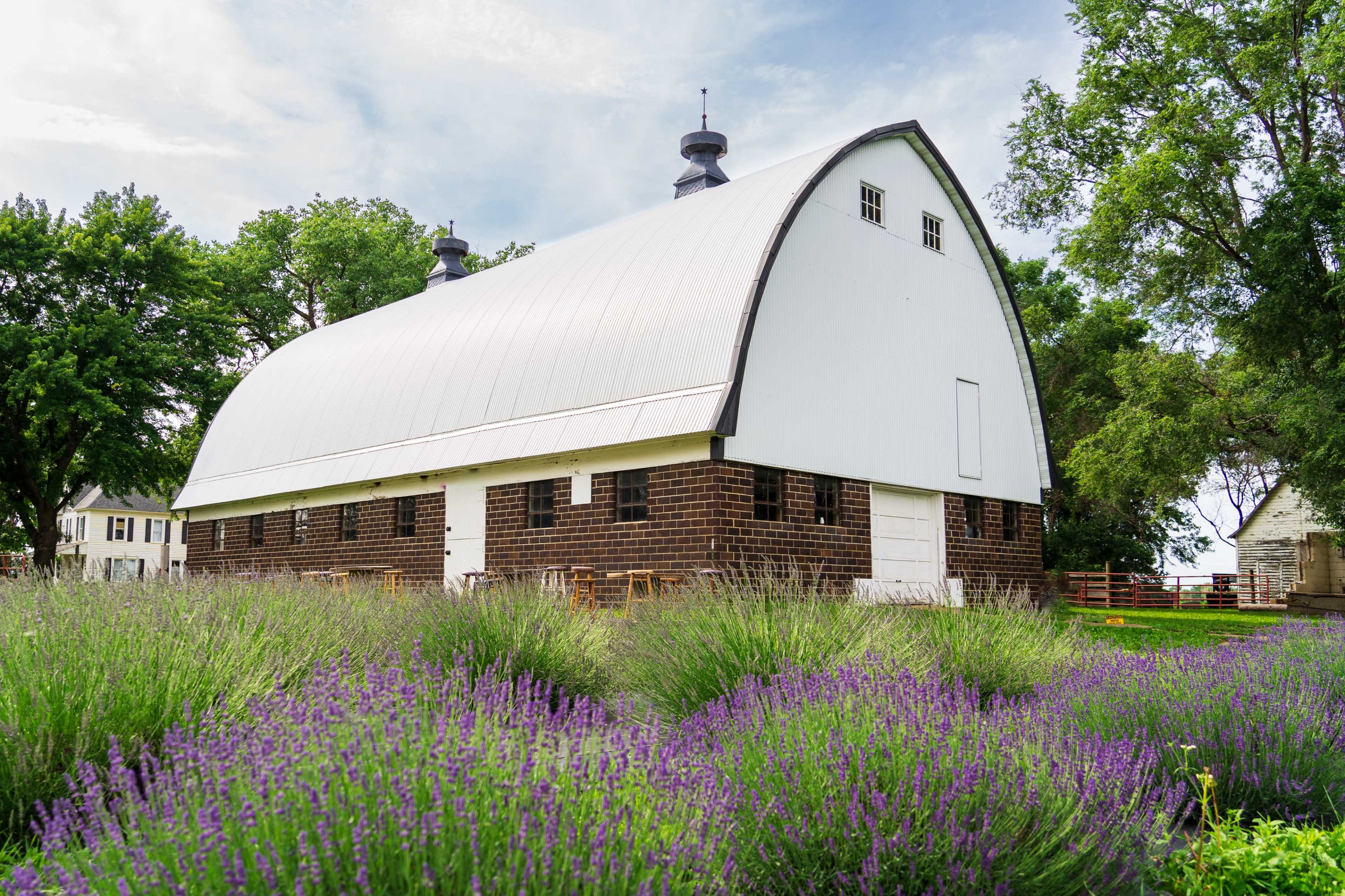 Historic Lavender Farm Image in Eureka Township, Farmington, MN