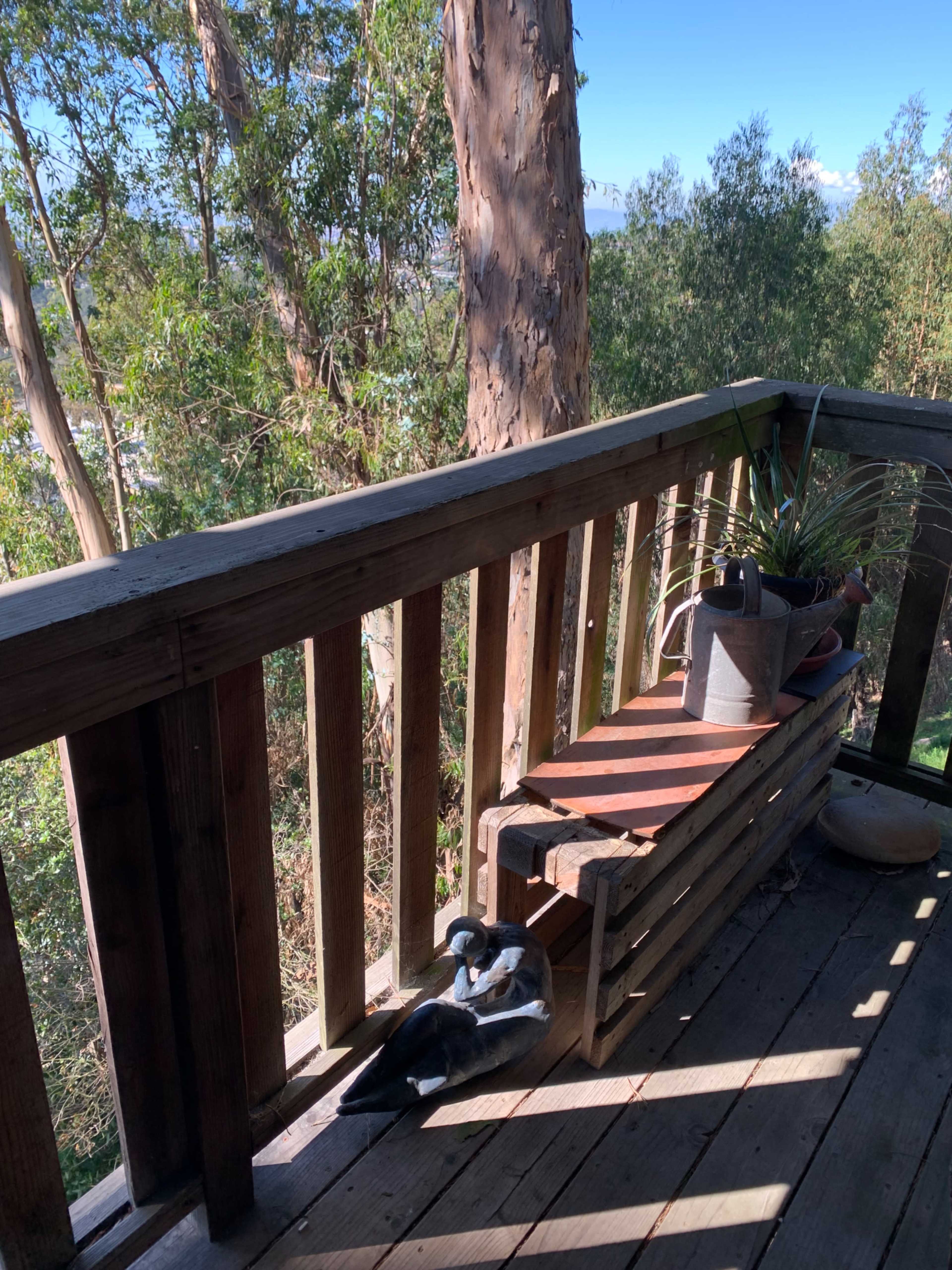 A wooden deck overlooks a grove of eucalyptus trees, with a planter and a decorative object resting on a bench.