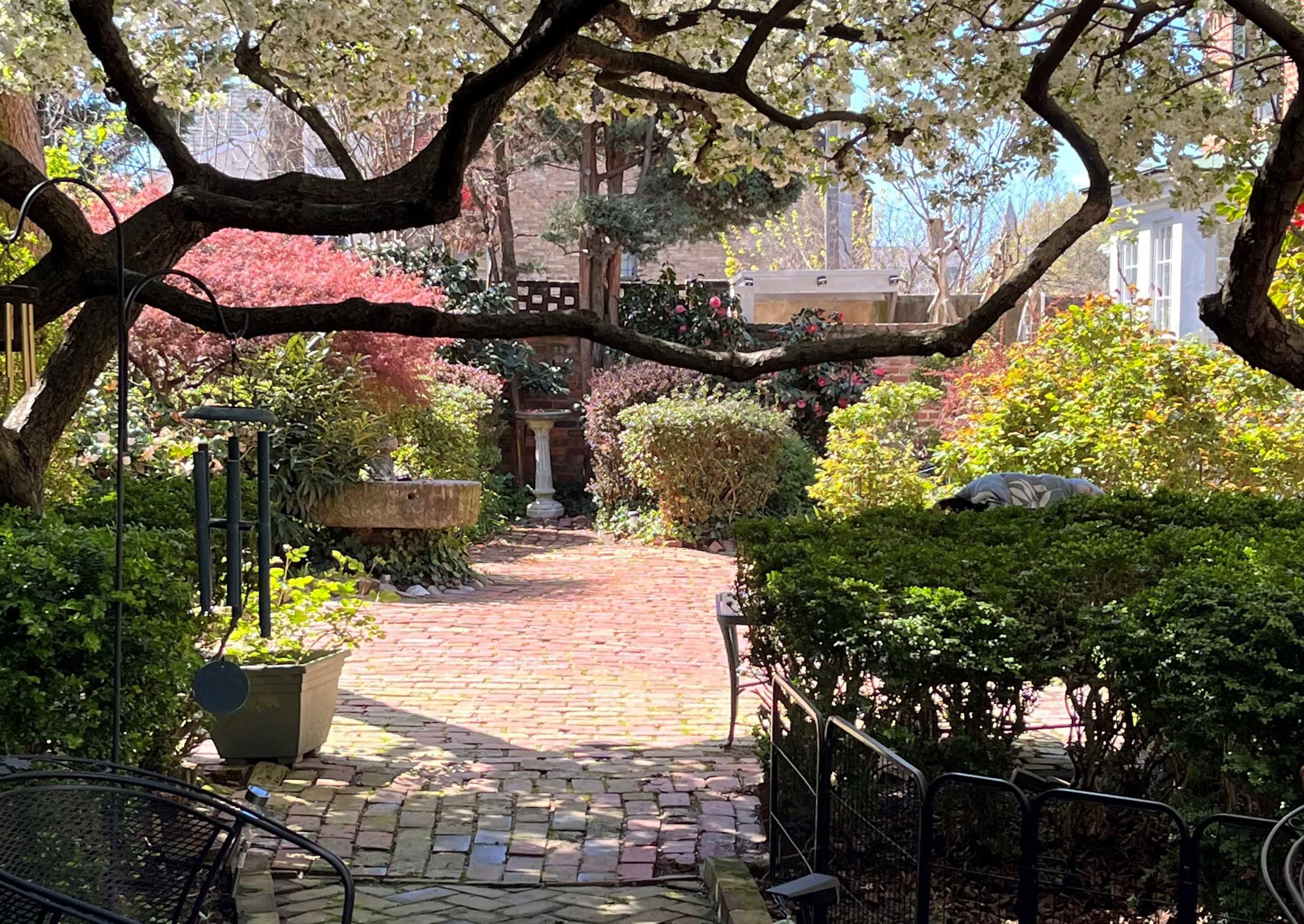 Grand 18th century home w/ xlarge garden in Old Town Image in Old Town, Alexandria, VA