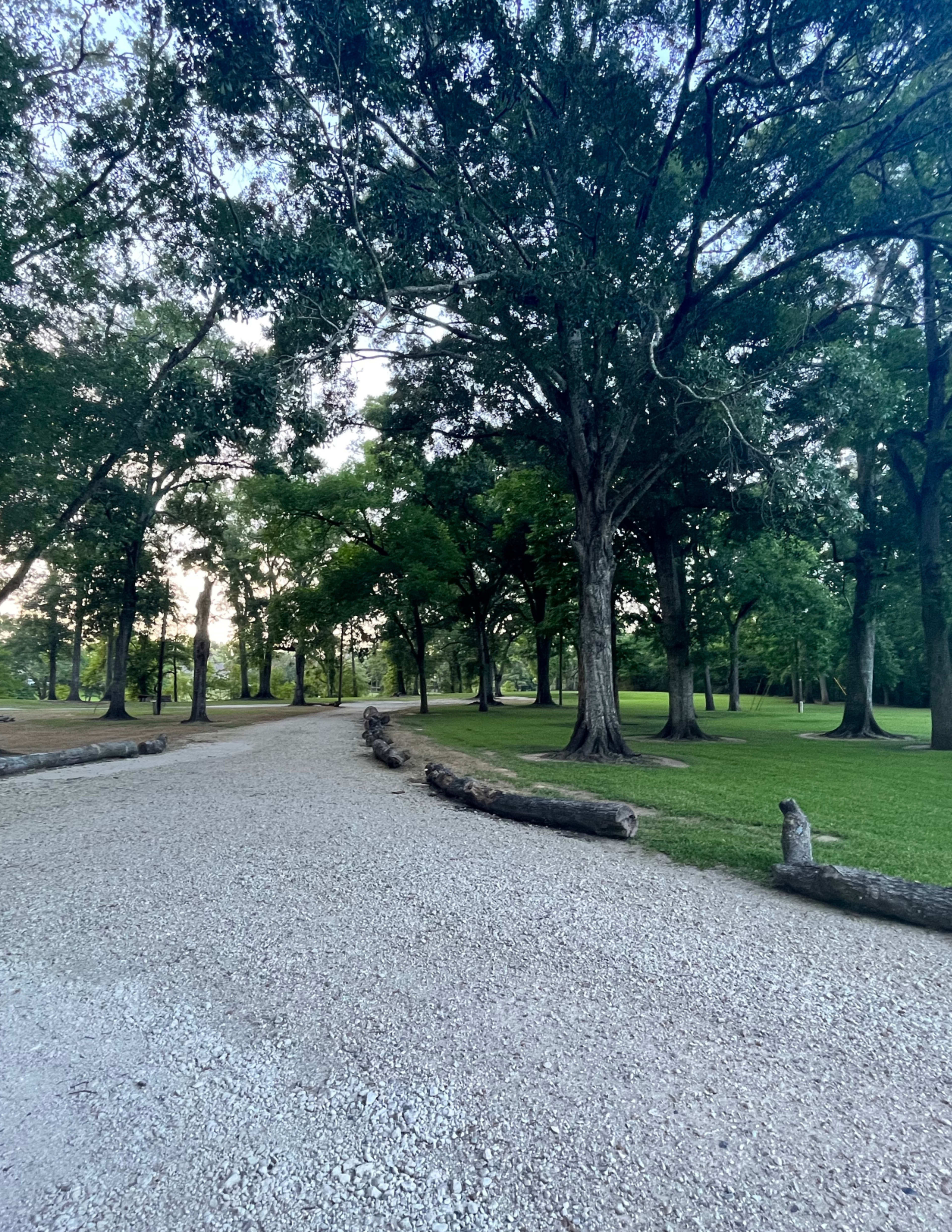 A gravel path winds through a park filled with large trees and grassy areas.