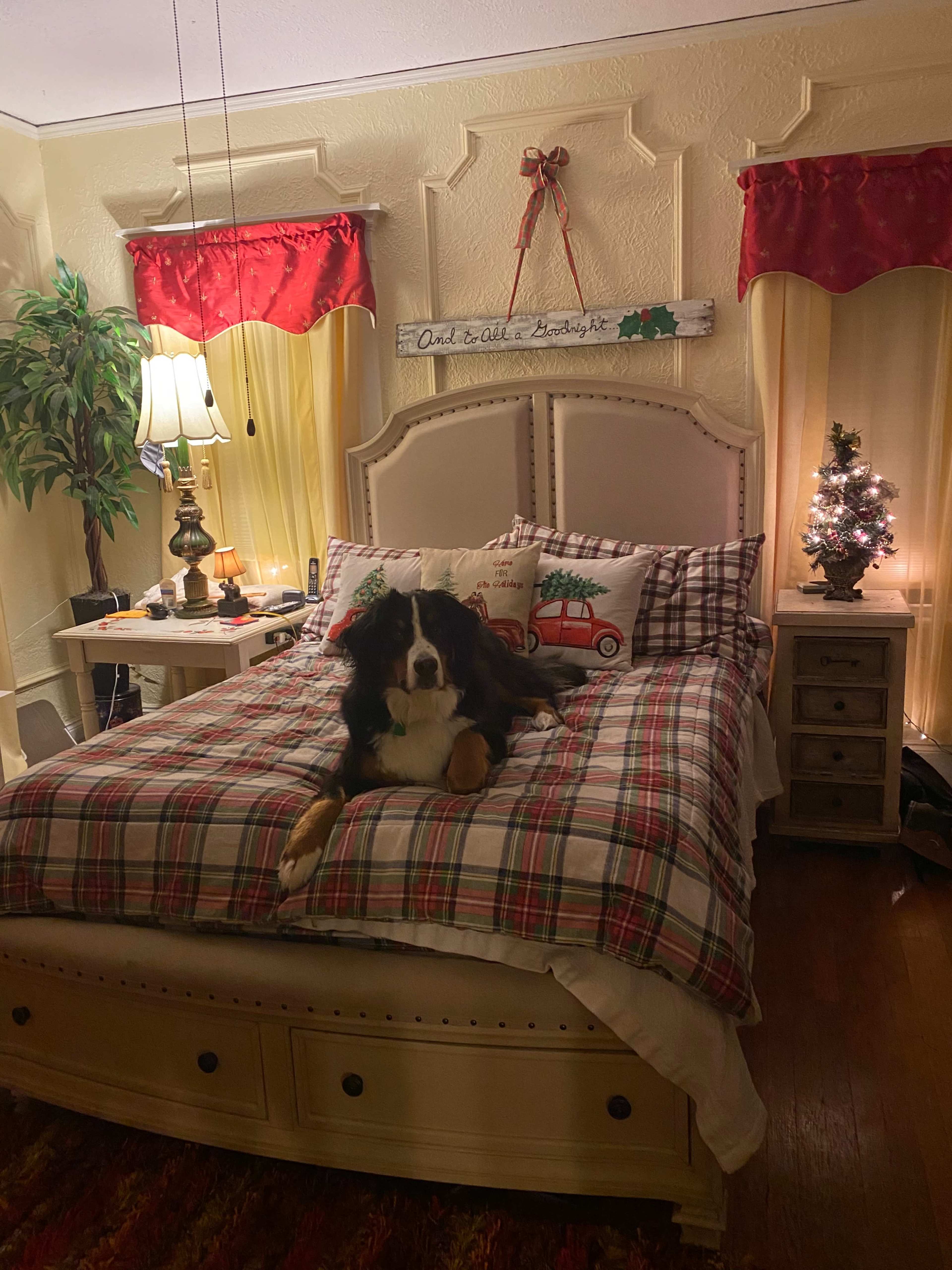 A large dog lies on a neatly made bed in a warmly decorated bedroom with holiday accents.