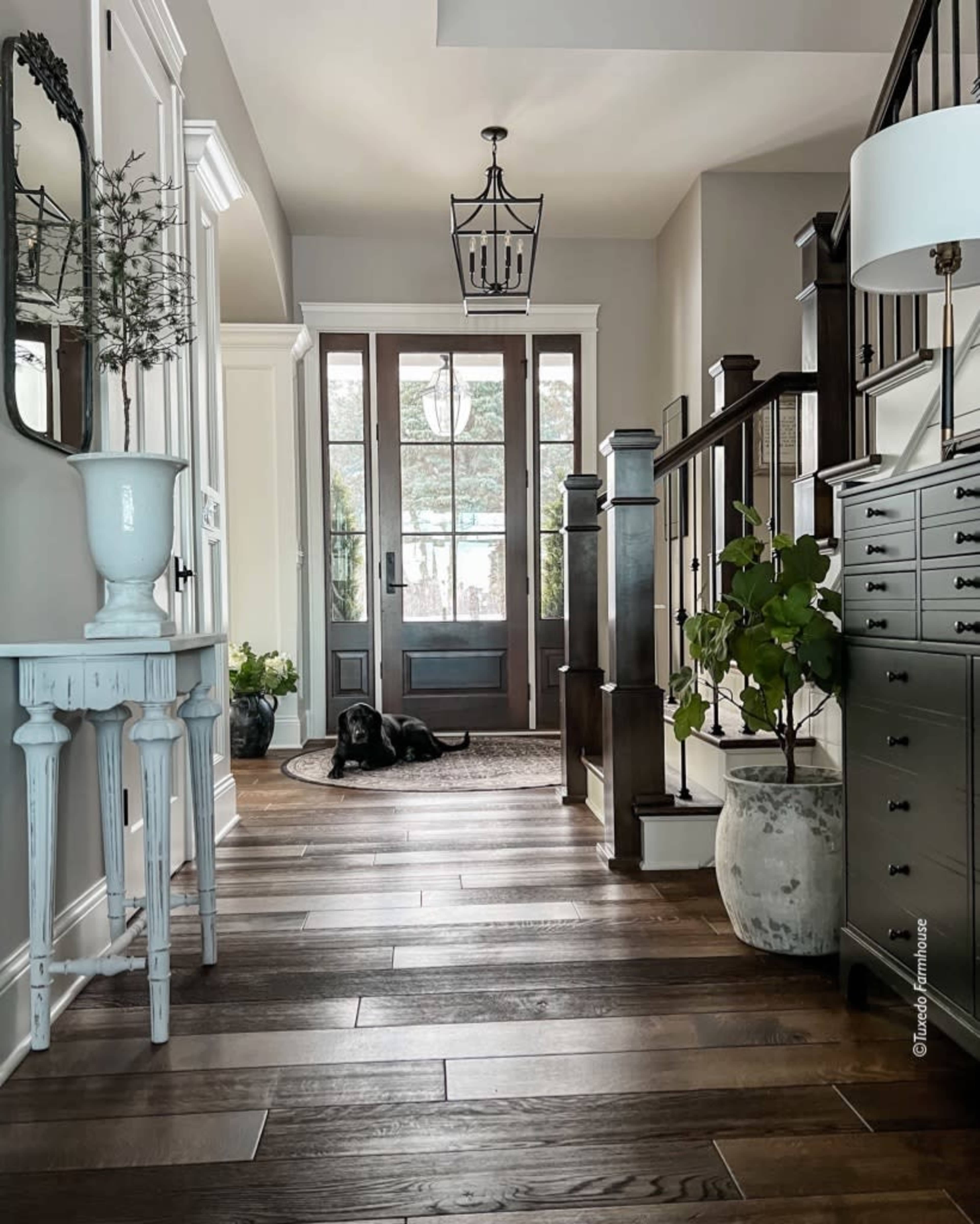 A well-lit entryway featuring a staircase, a console table, a potted plant, and a dog resting on the wooden floor.