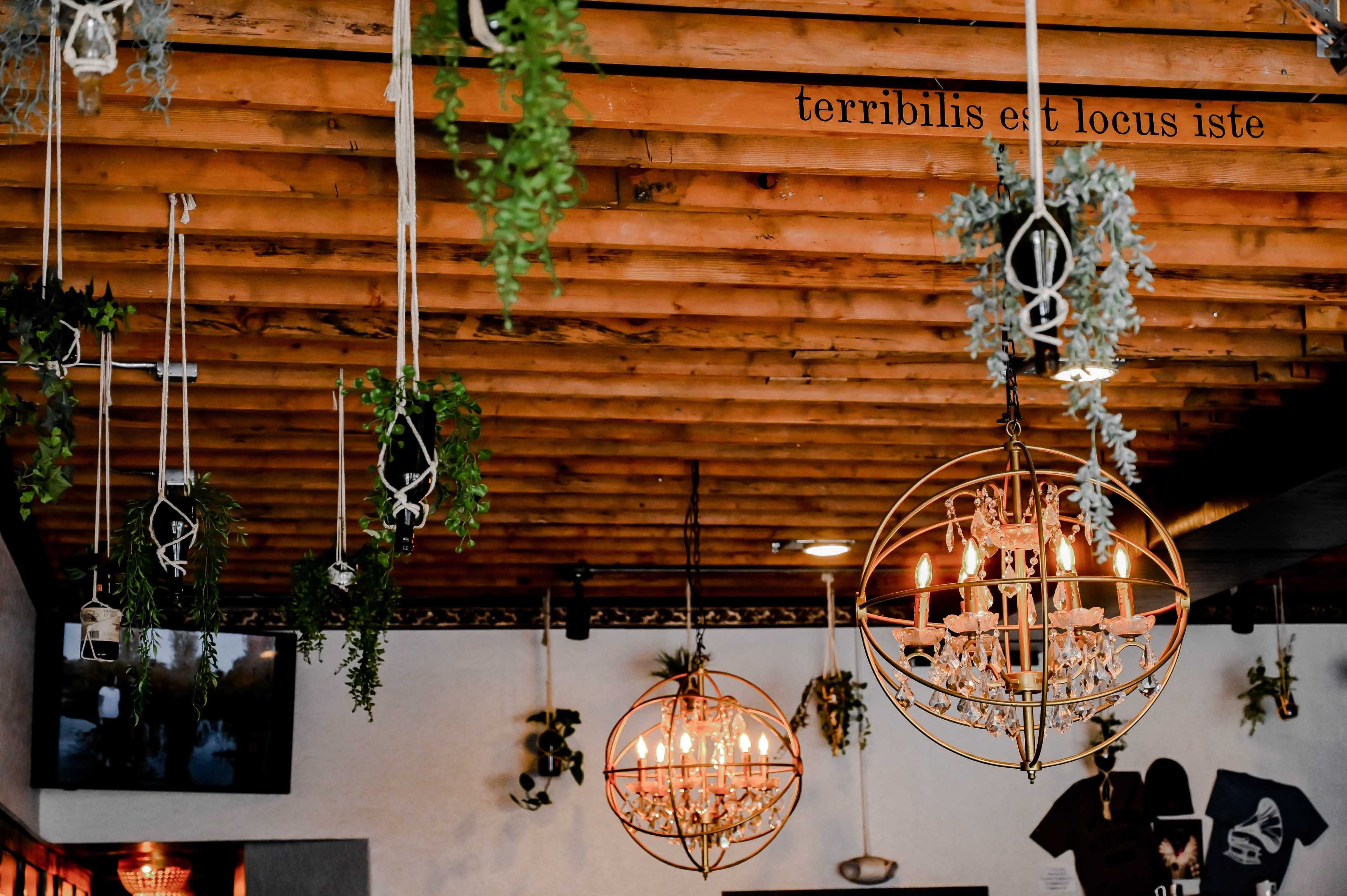 The image shows a restaurant interior with wooden ceiling beams, hanging plants, and decorative chandeliers.