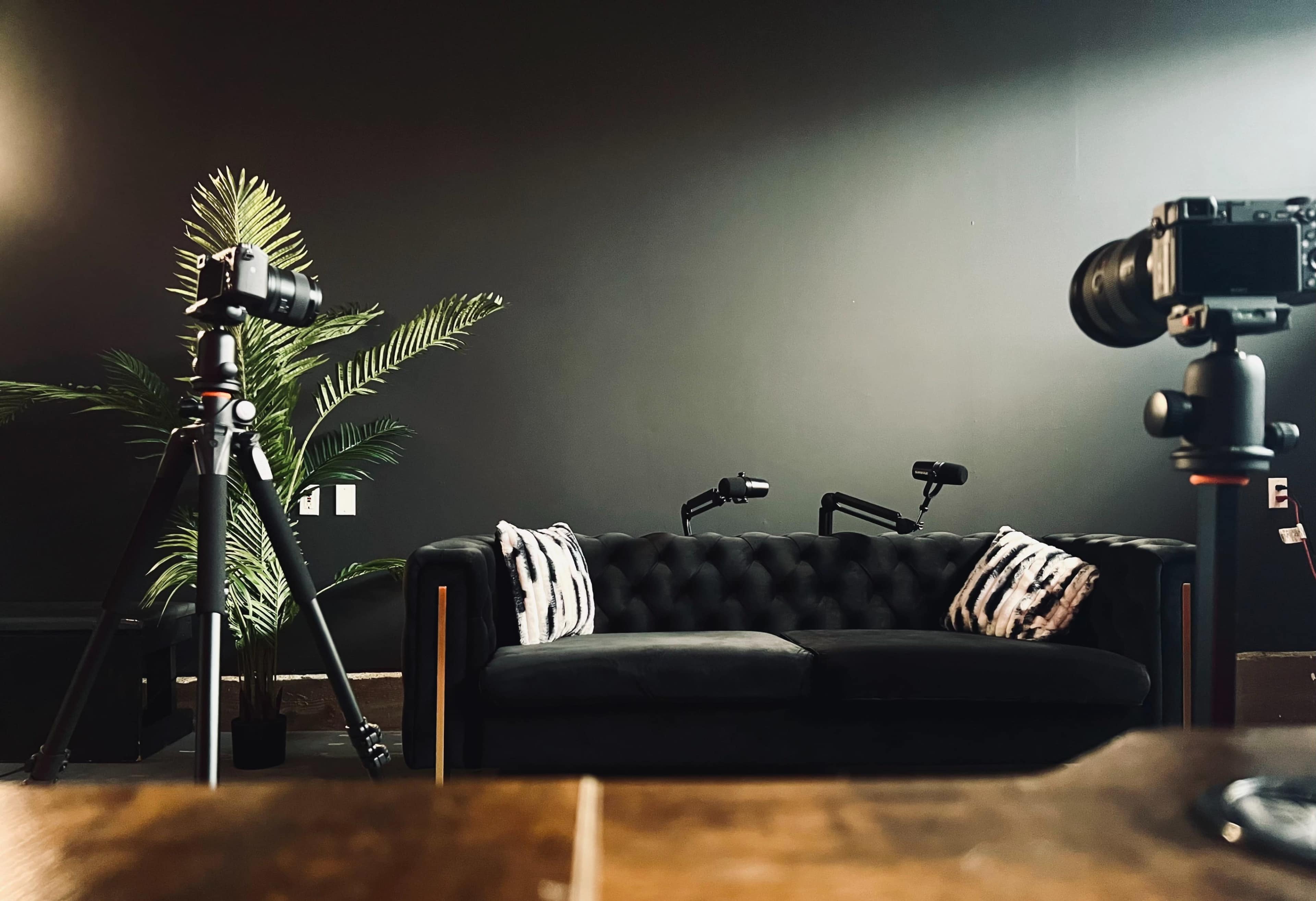 A dark room with a black tufted sofa, two cameras on tripods positioned in front of it, and a potted plant in the background.