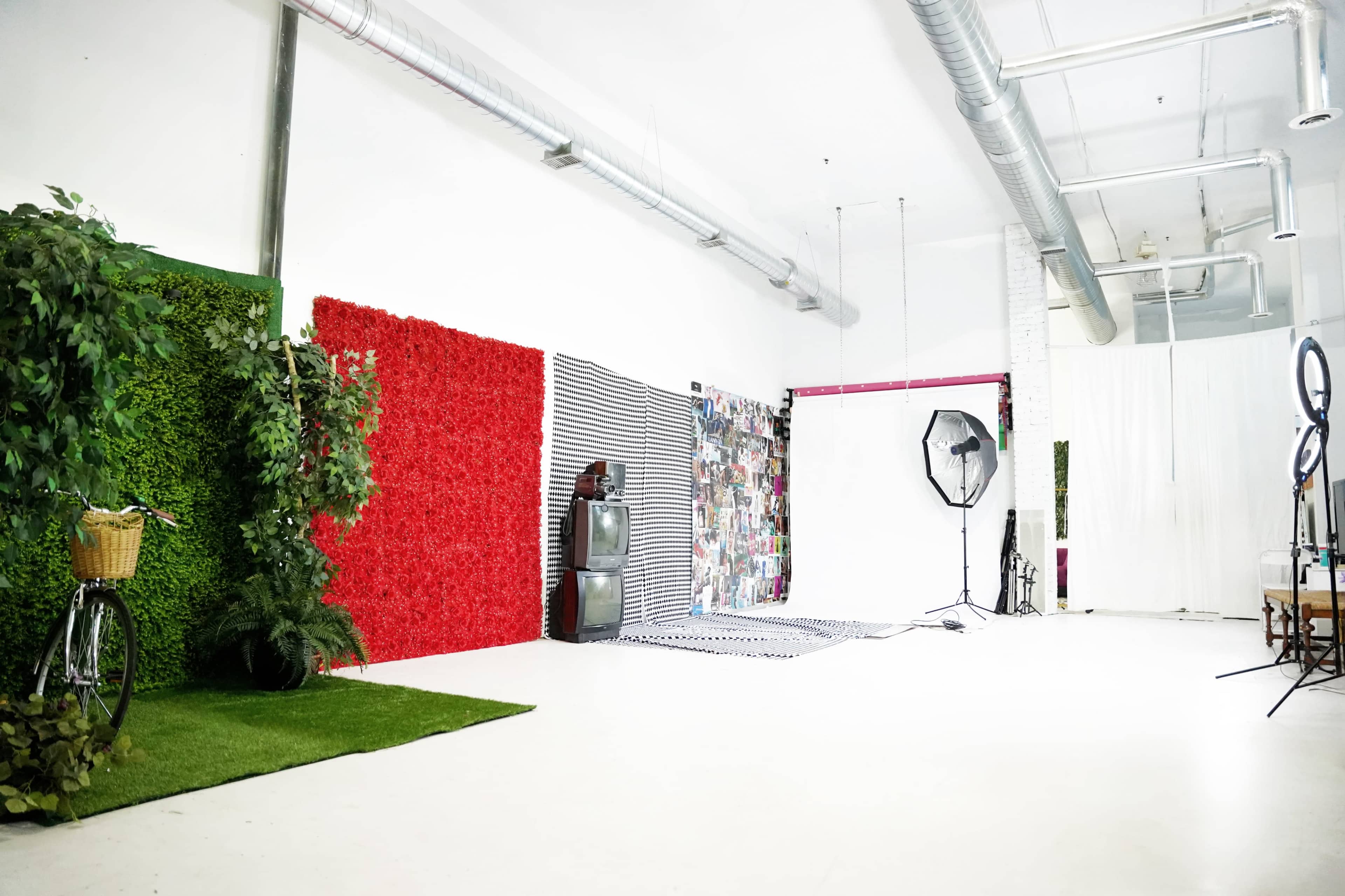 A spacious studio interior with various backdrops, including a green hedge, a red floral wall, and a striped wall, along with photography equipment and props.