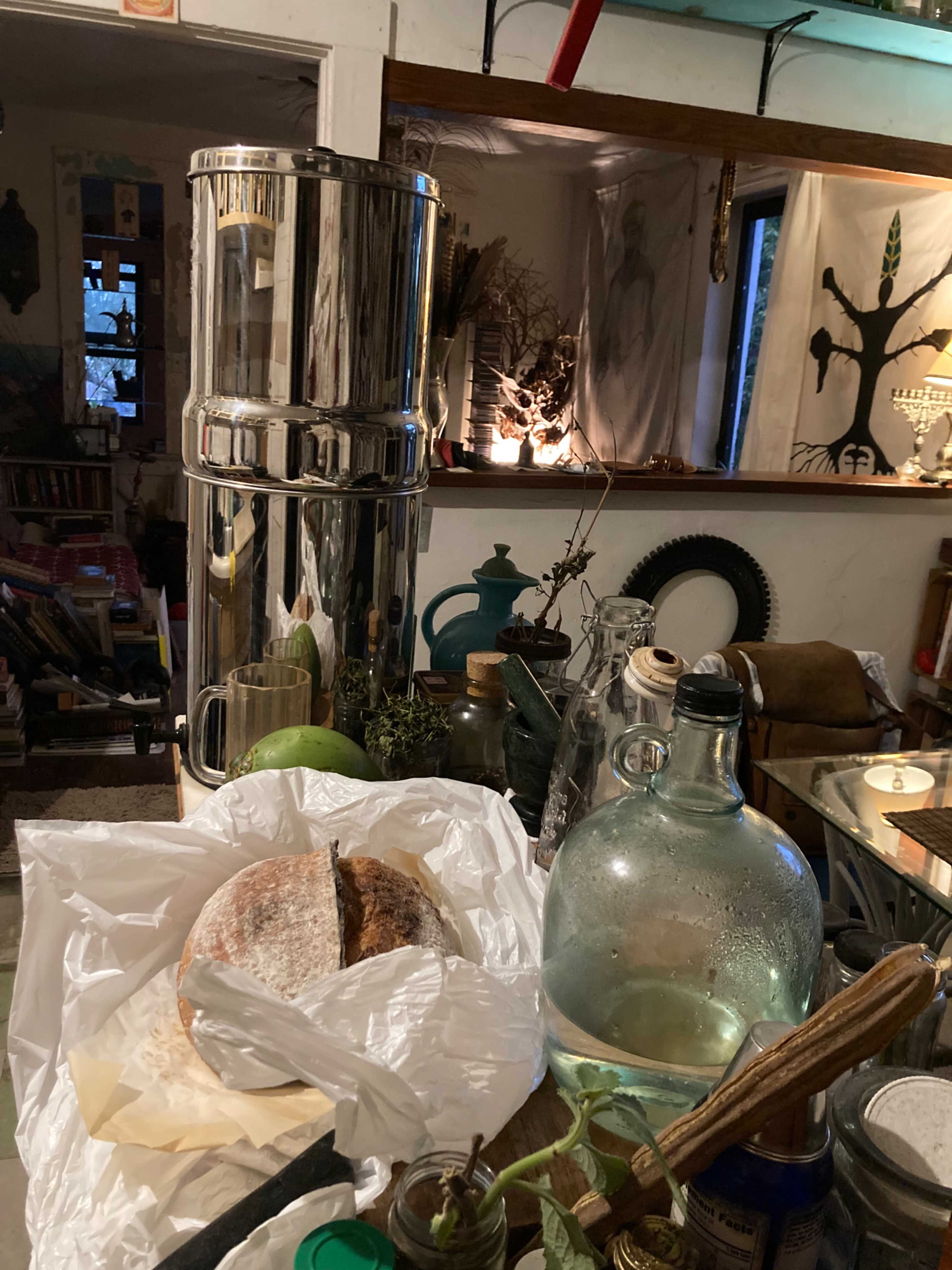 The image captures a kitchen scene featuring a shiny metal water filter, a loaf of bread, various glass jars, and an assortment of plants and kitchen utensils on a countertop.