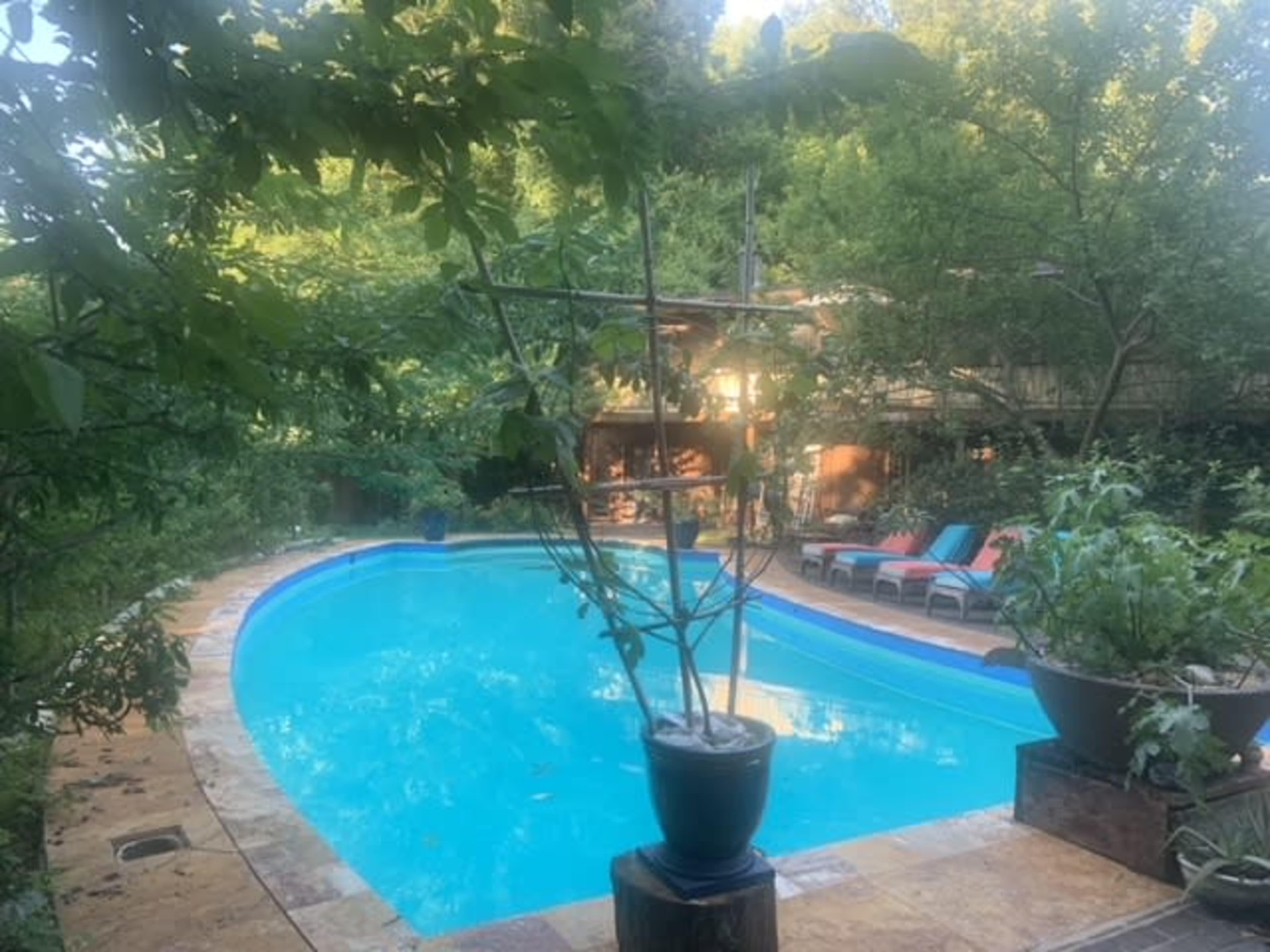 A swimming pool surrounded by greenery and lounge chairs is visible in a landscaped yard.