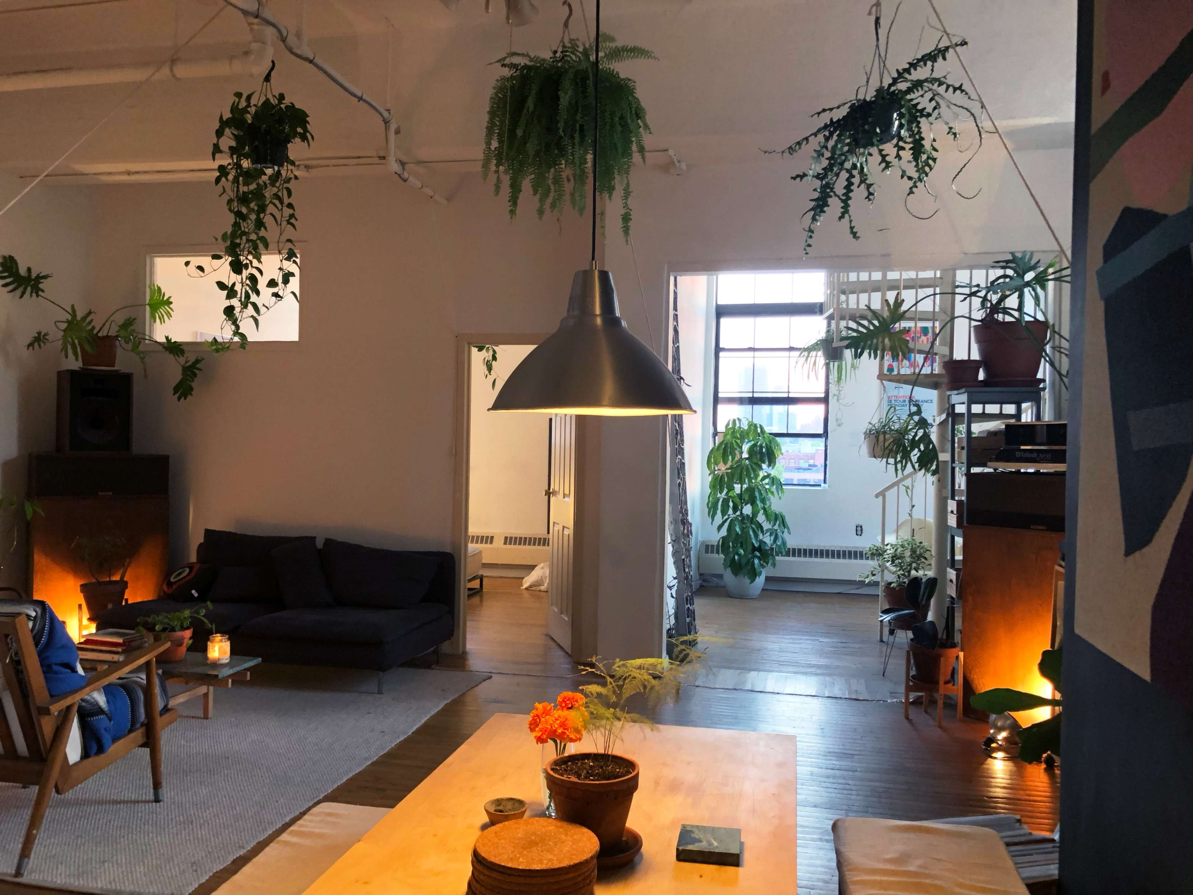 The image shows a modern, open-plan living space featuring a seating area with a dark sofa, a wooden table, and various indoor plants hanging and placed throughout the room.