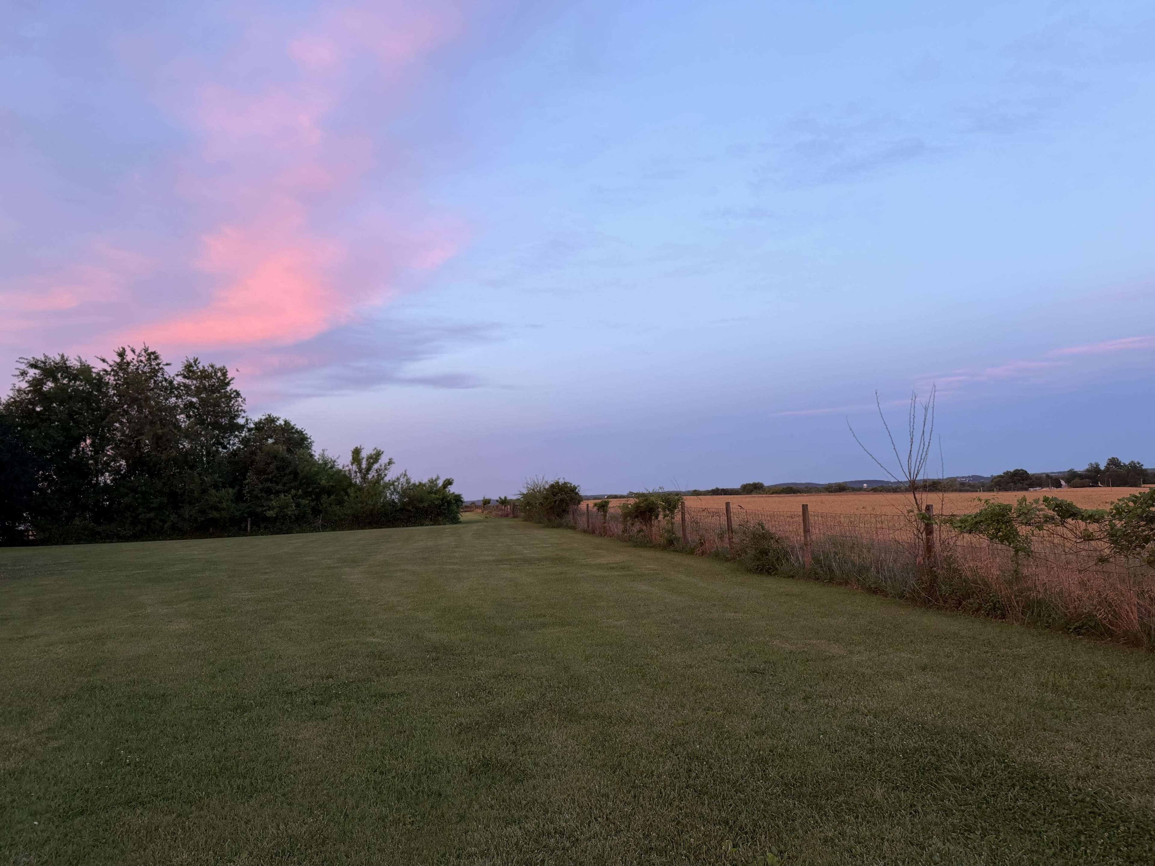 The image shows a grassy field bordered by trees on one side and a golden crop field under a twilight sky with pink and blue hues.